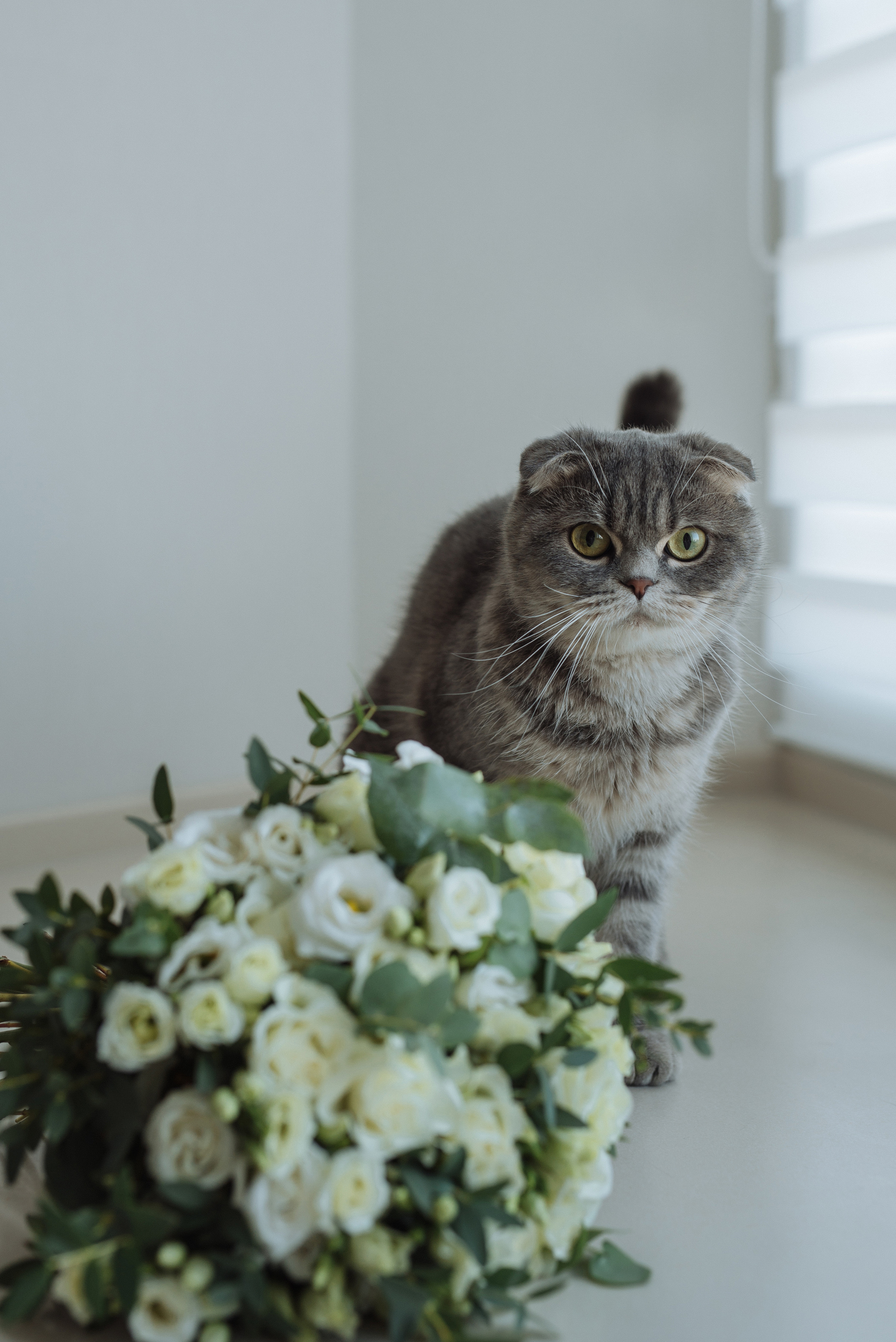 Антон и Алина, 2021 (Полный день). Свадебный, портретный, фотограф беременности в Нижнем Новгороде Алина Зиновьева