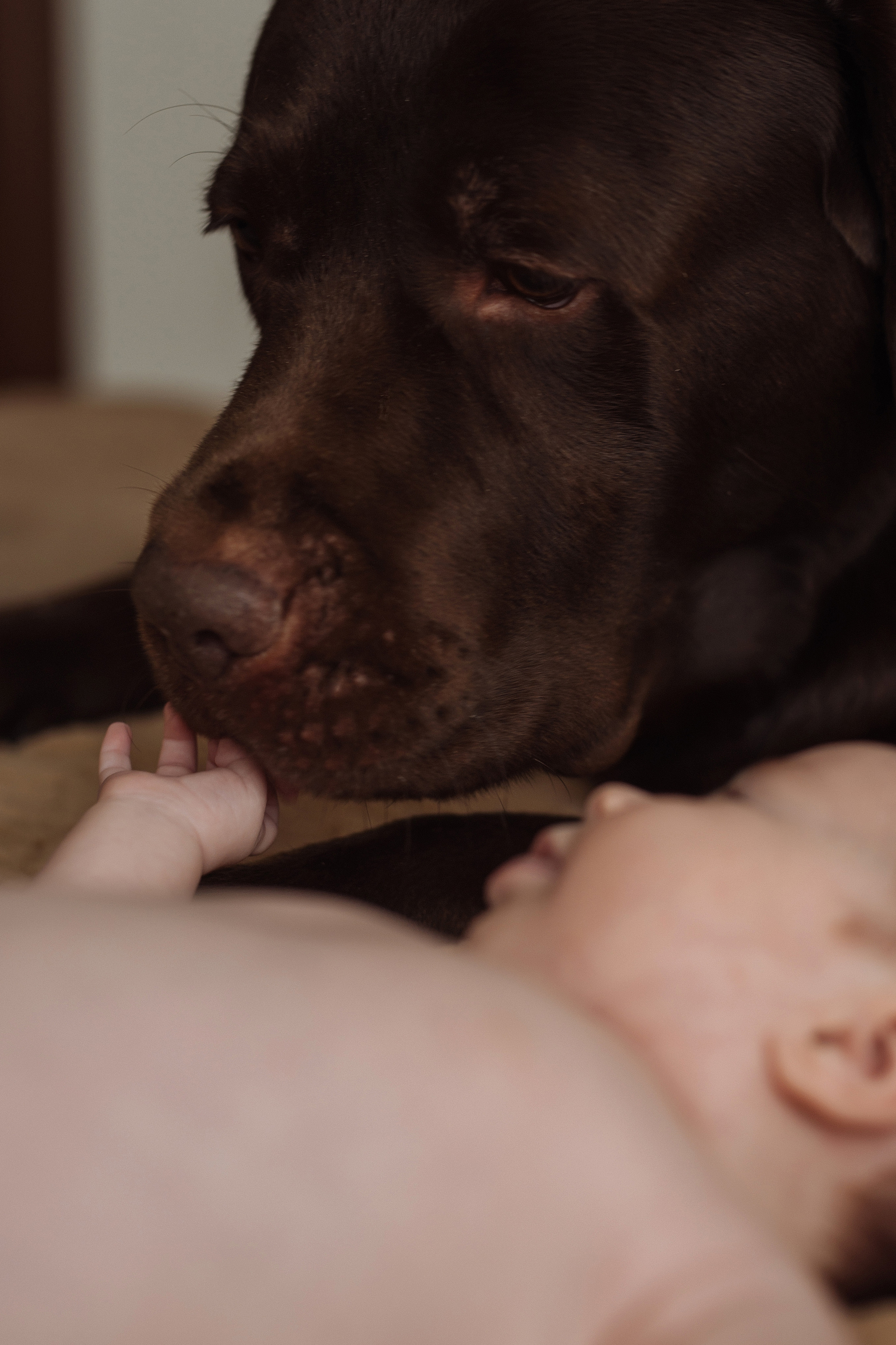 Маша и Дима. Свадебный, портретный, фотограф беременности в Нижнем Новгороде Алина Зиновьева