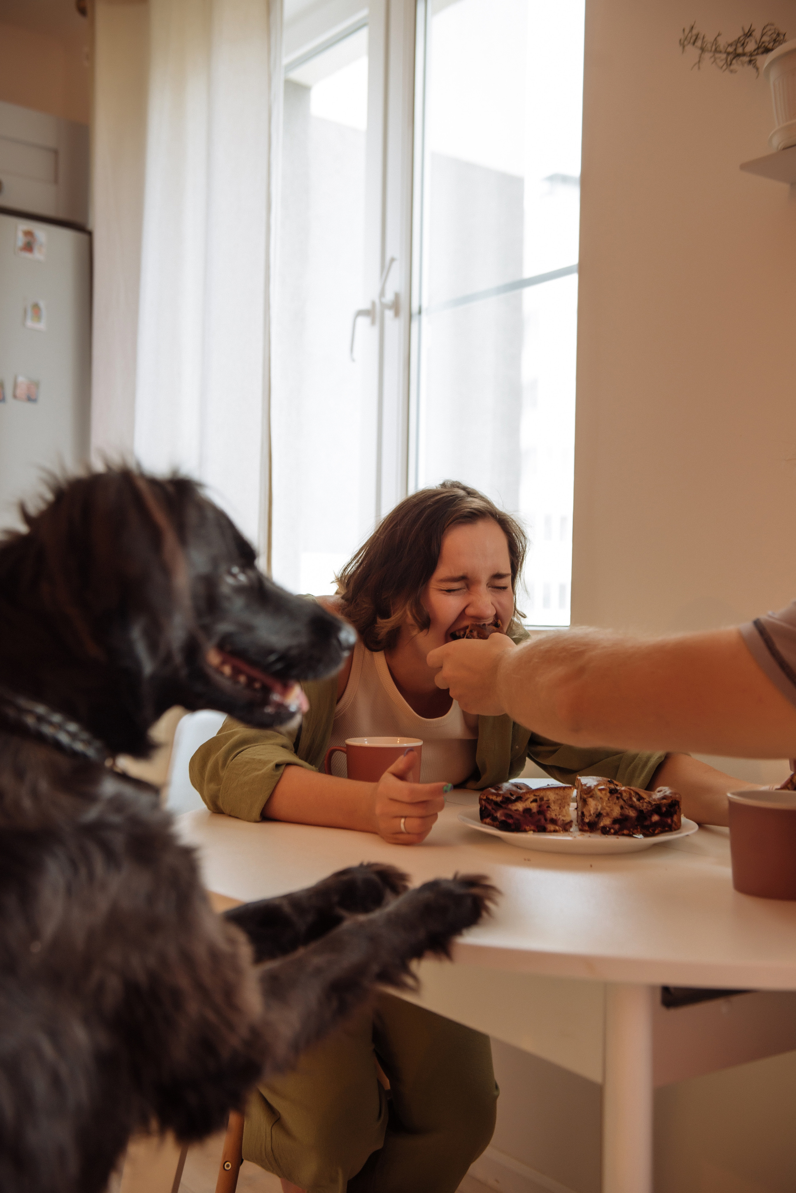 Эльмира и Саша. Свадебный, портретный, фотограф беременности в Нижнем Новгороде Алина Зиновьева