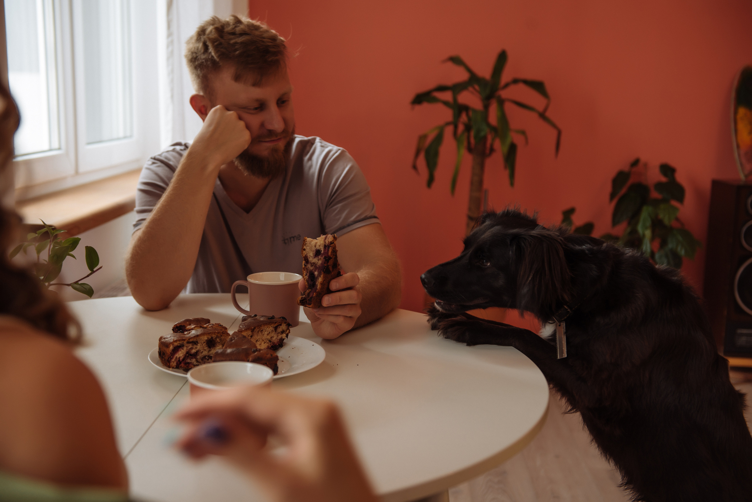 Эльмира и Саша. Свадебный, портретный, фотограф беременности в Нижнем Новгороде Алина Зиновьева