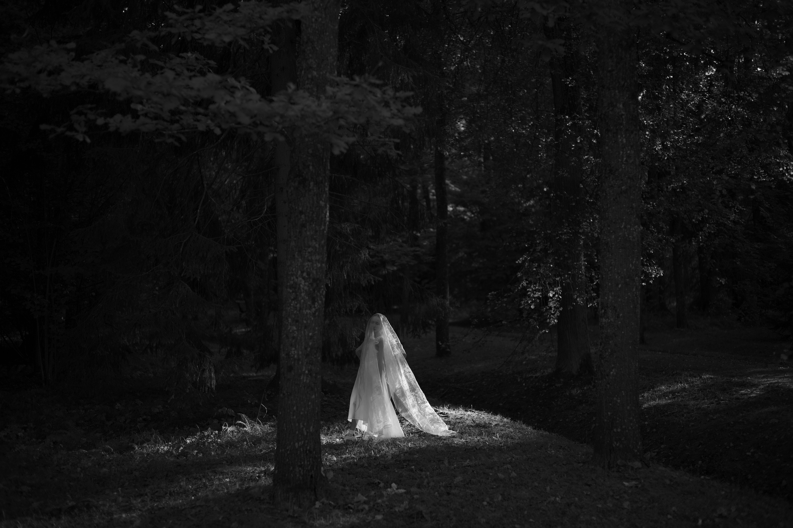 Тонкое. Фотограф Александр Медведев