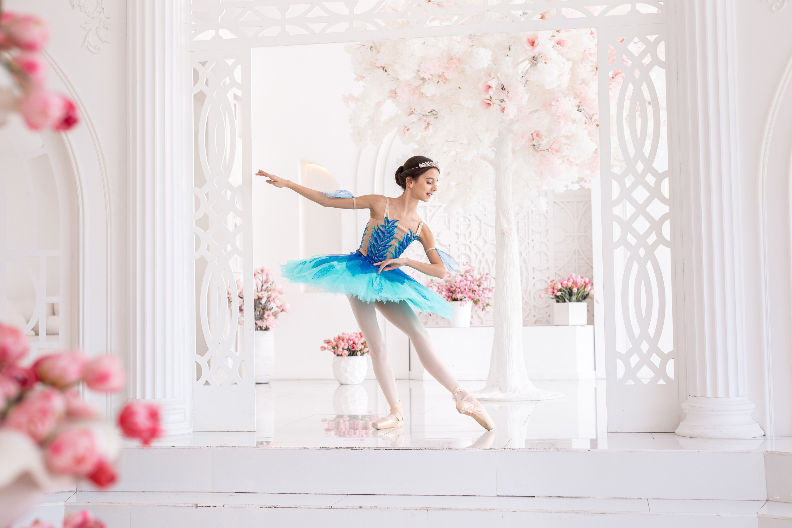 Балетная съёмка в интерьере. Балетный фотограф Алина Ханько — Душа Балета