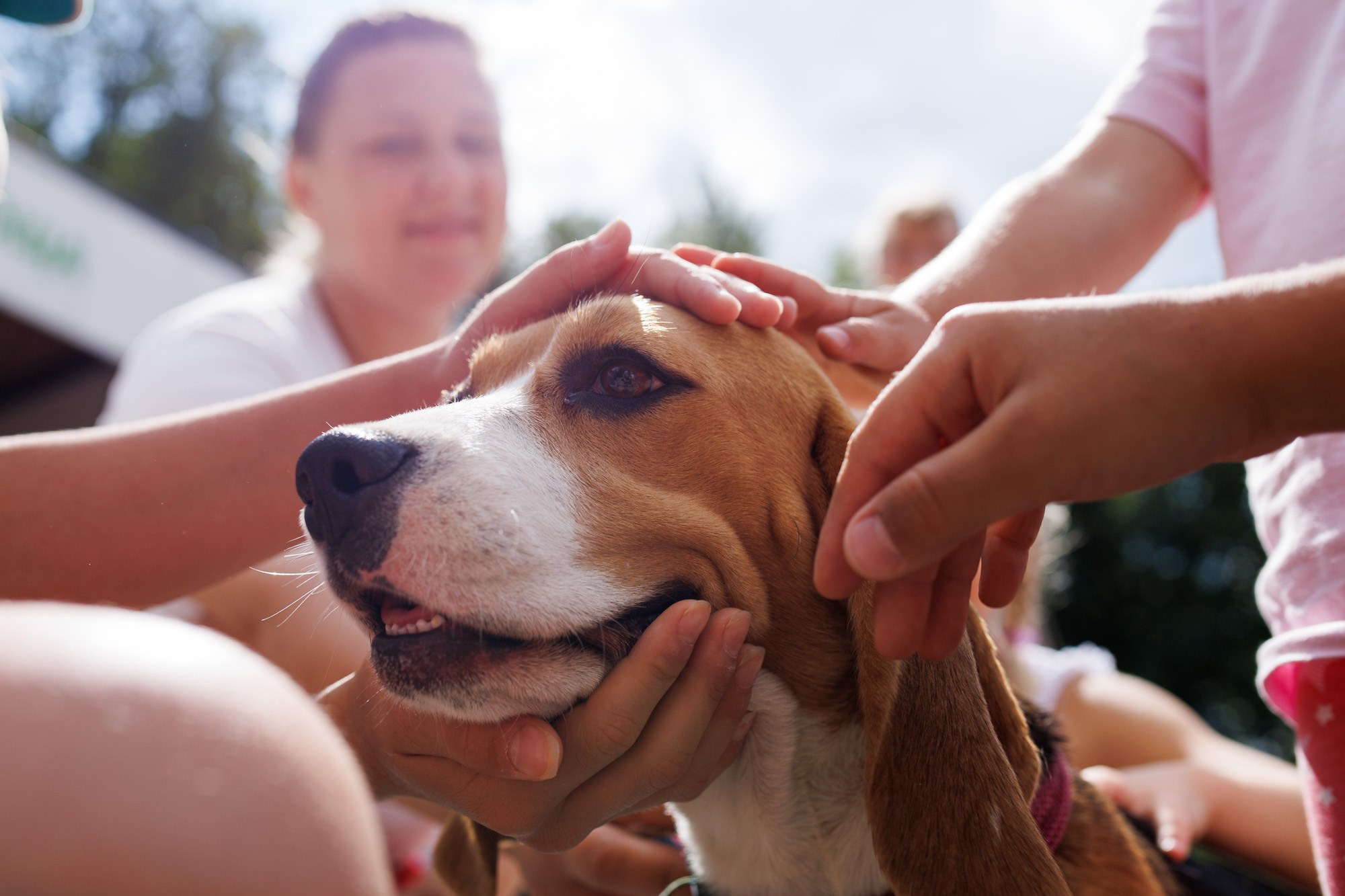 Соловьиное лето 2024. Спортивный фотограф Вадим Добедченков