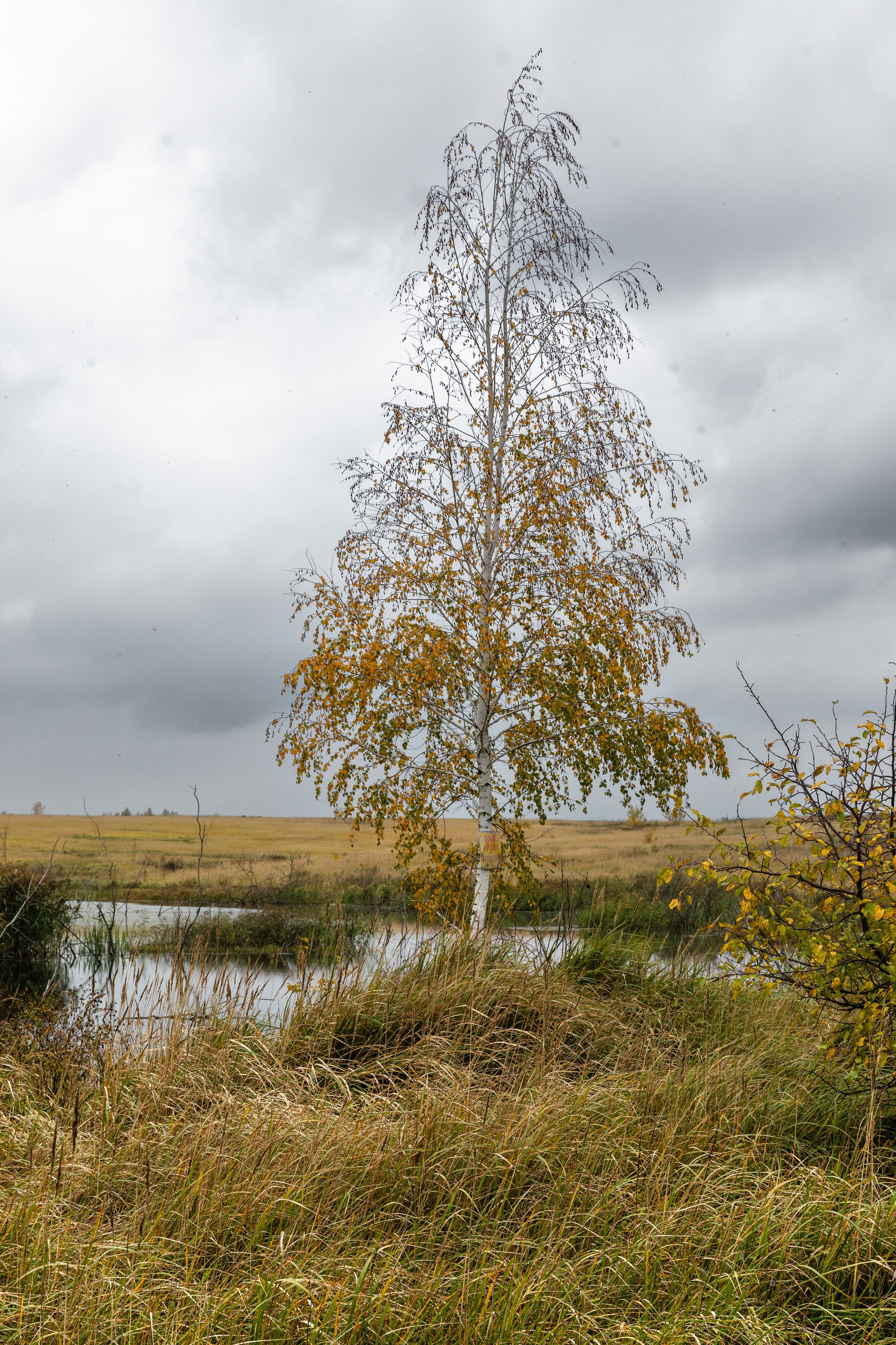 Кондуки. Октябрь 2023. Фотографии