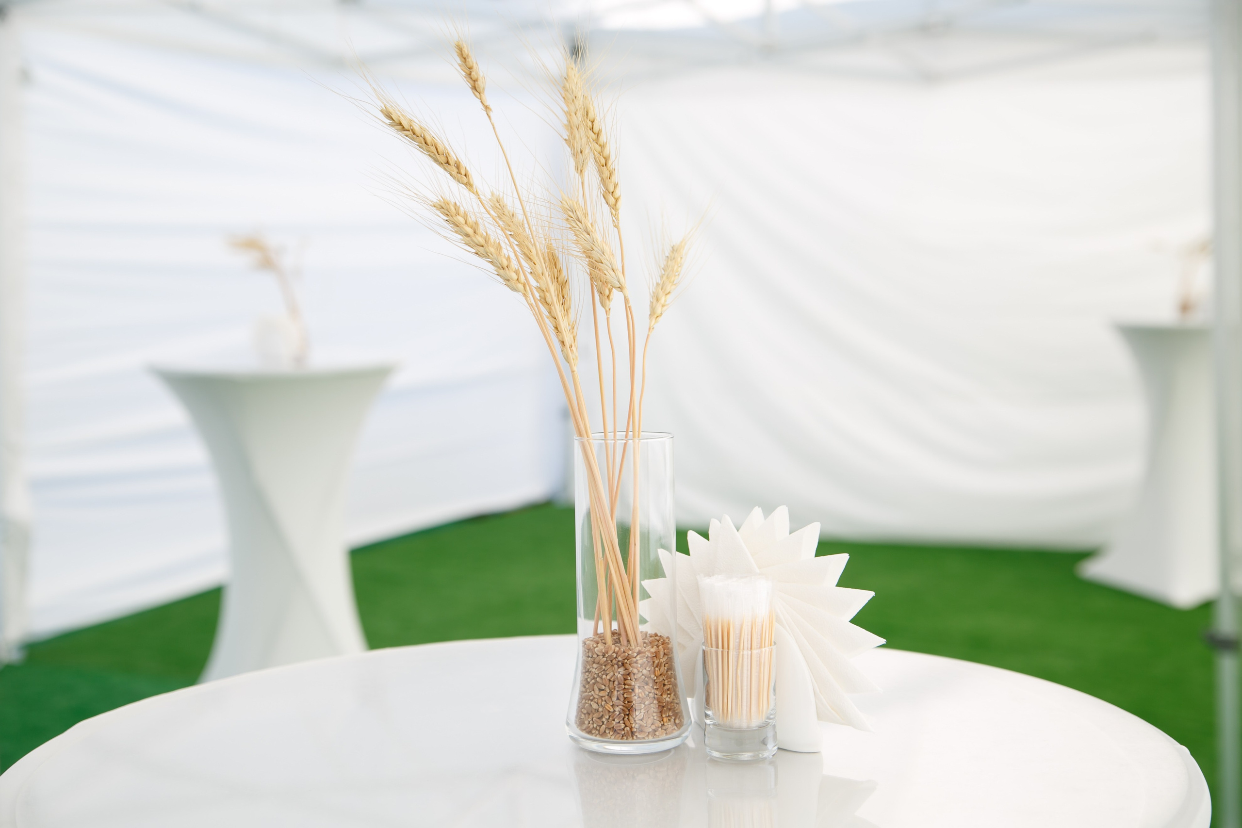 Агротерра. Фотограф Яков Поспехов