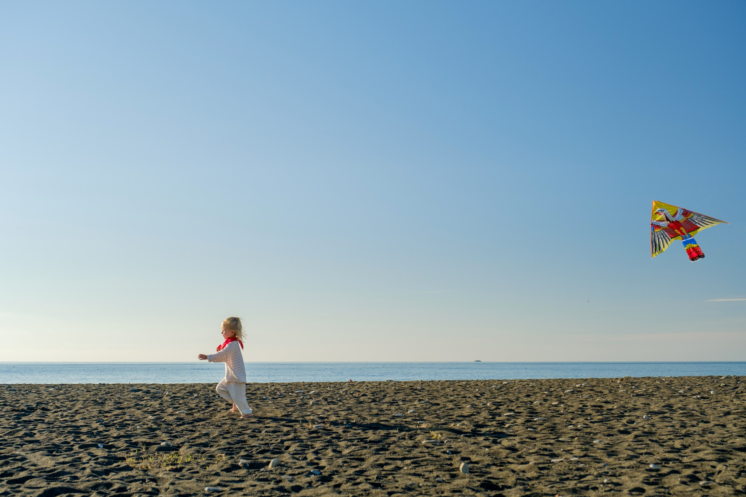 Воздушный змей. Свадебный Видеограф Фотограф в Сочи