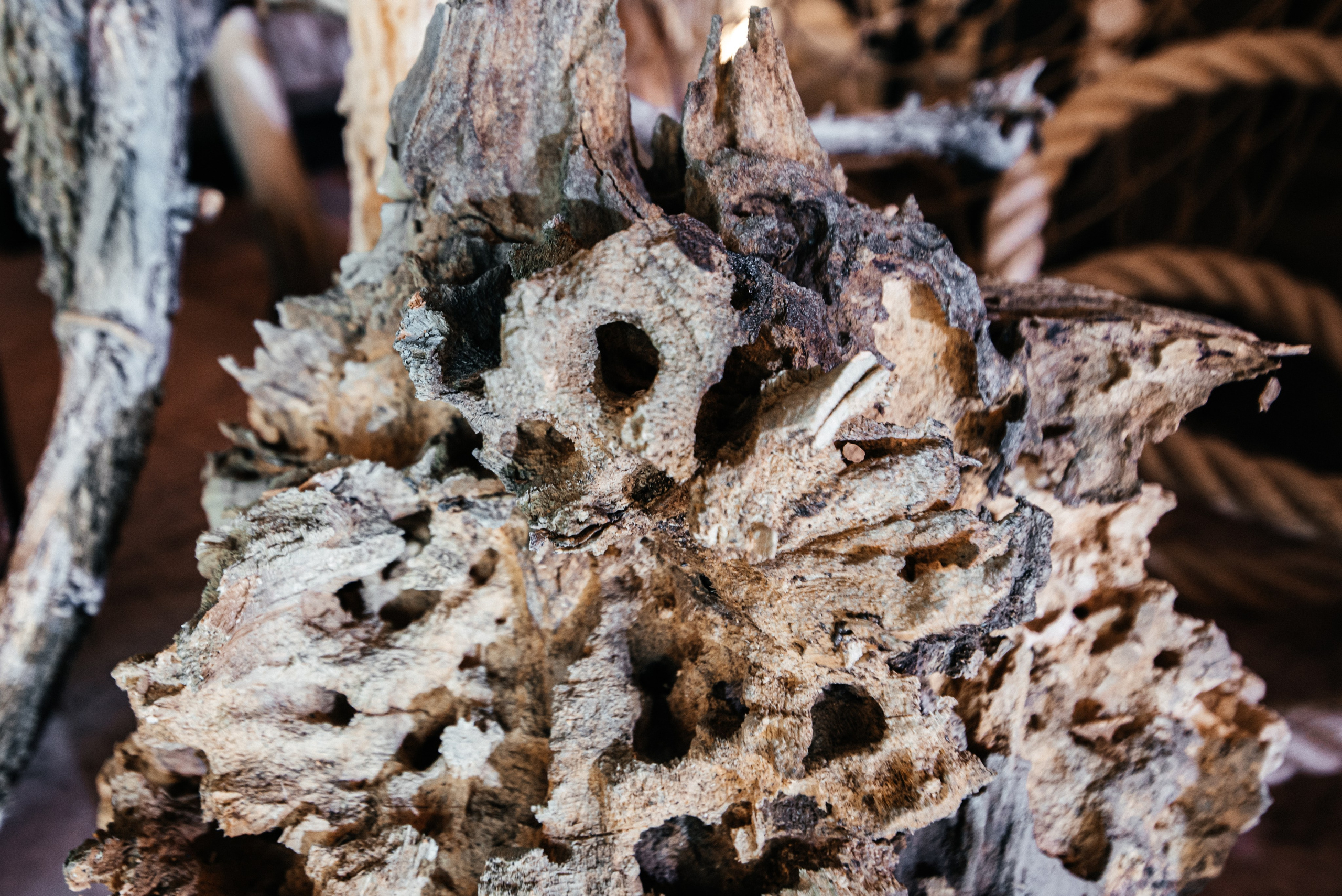 День Рождения. Организация и декор мероприятий Донецк (ДНР)