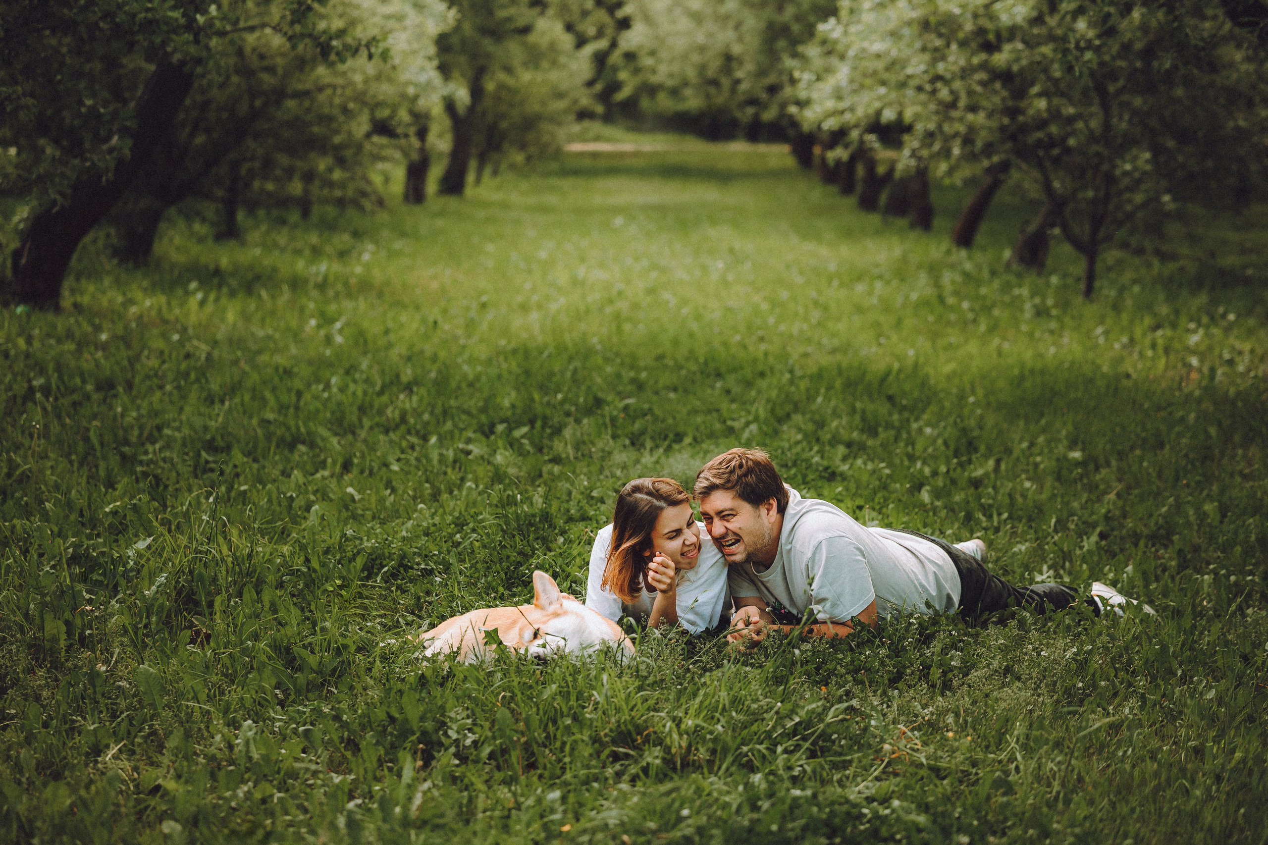 Вирджик и его семья