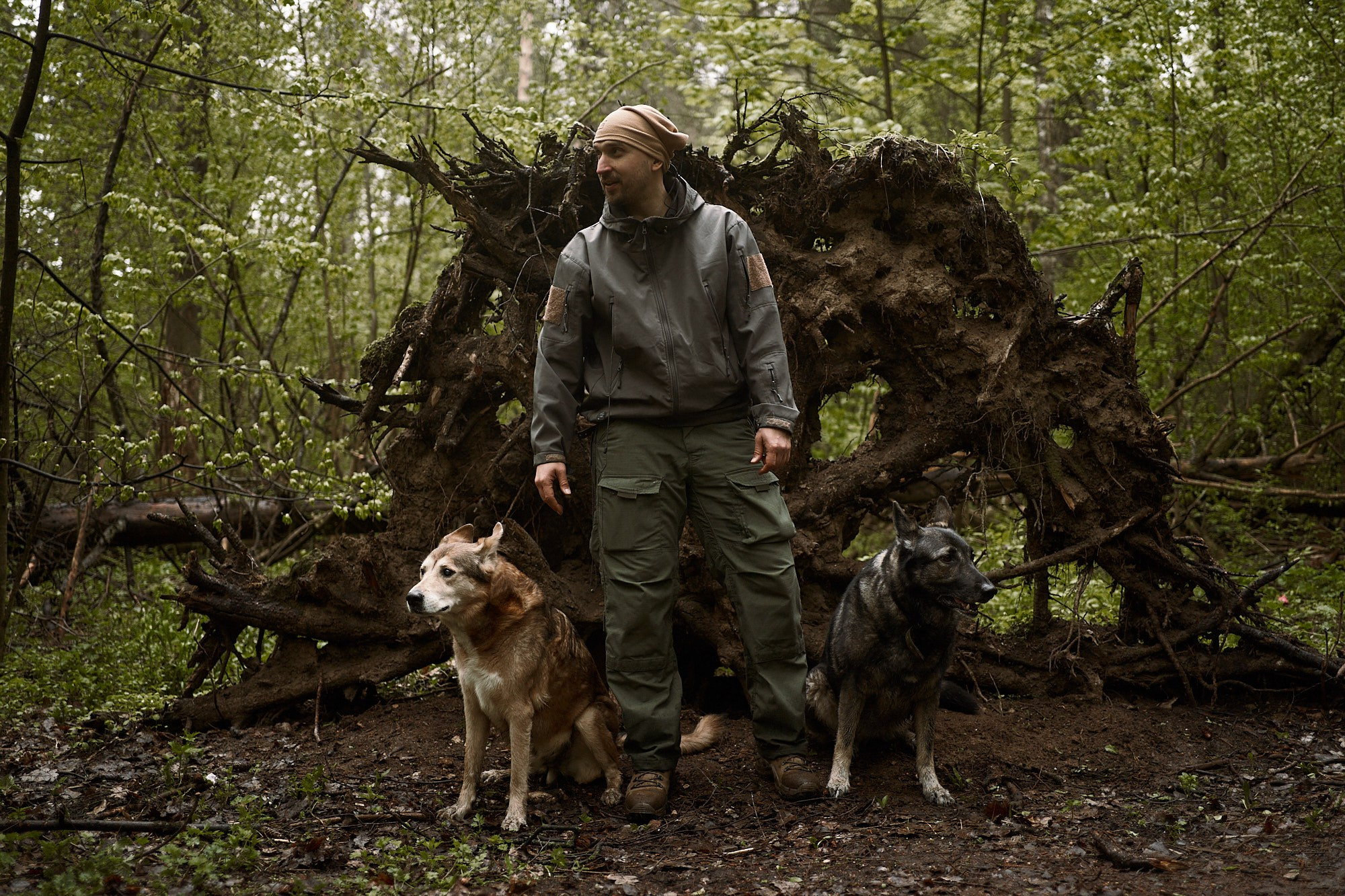 Дима, Рыжий и Воля. Фотограф анималист Москва Дарья