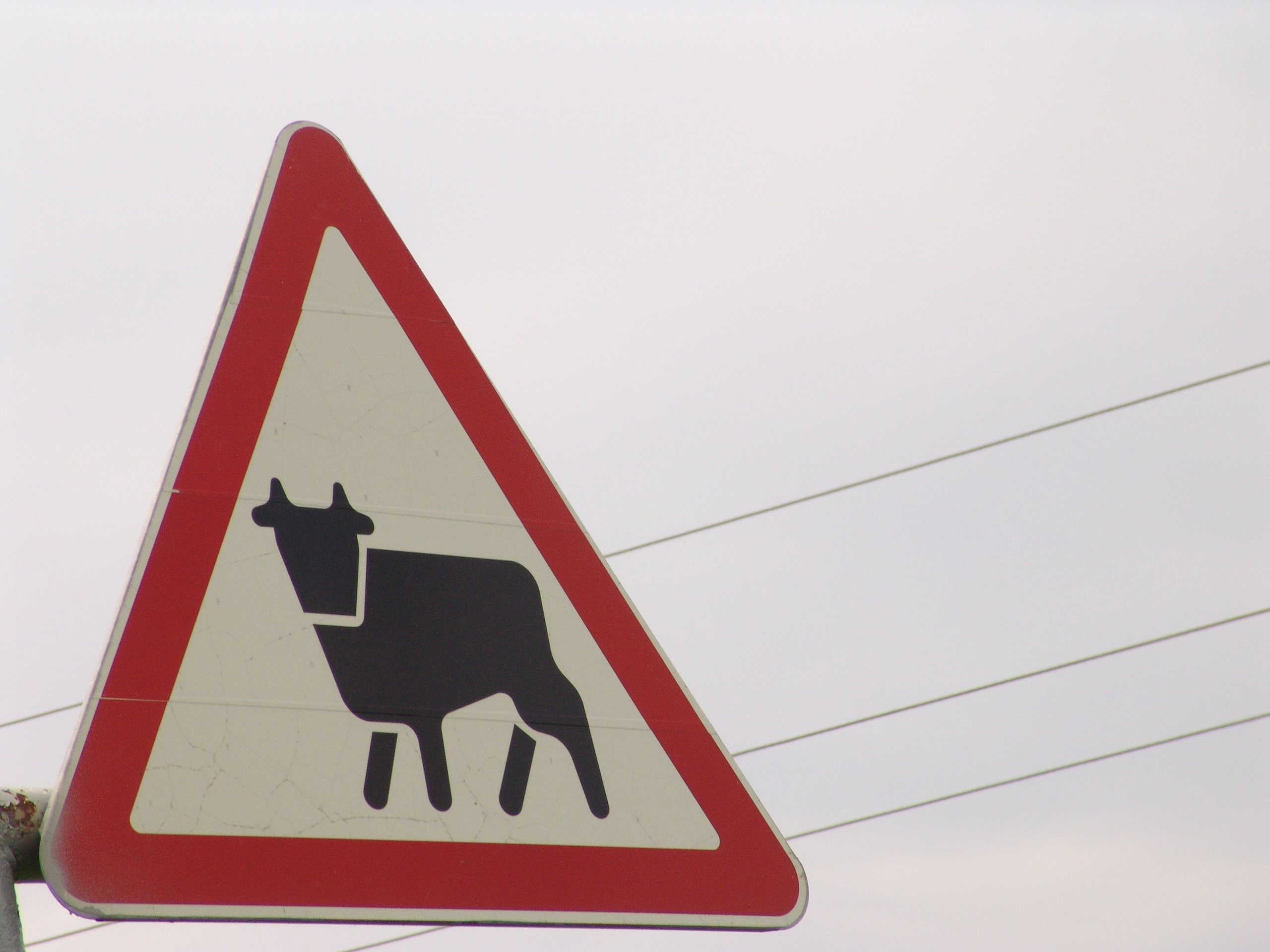 BULENT solonzovo 2005. Заставка