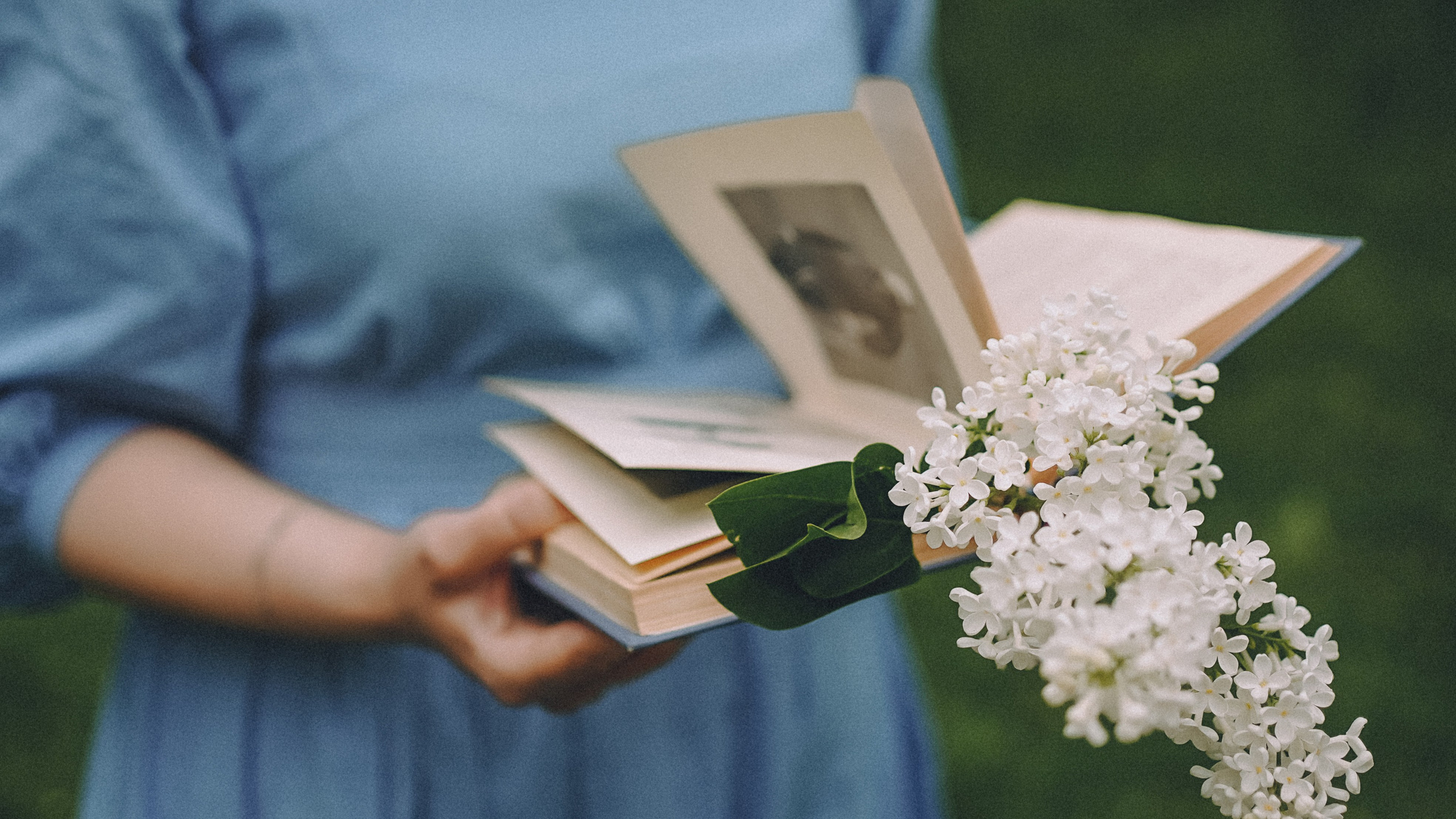 Сиреневый сон. Фотограф Наталья Колганова