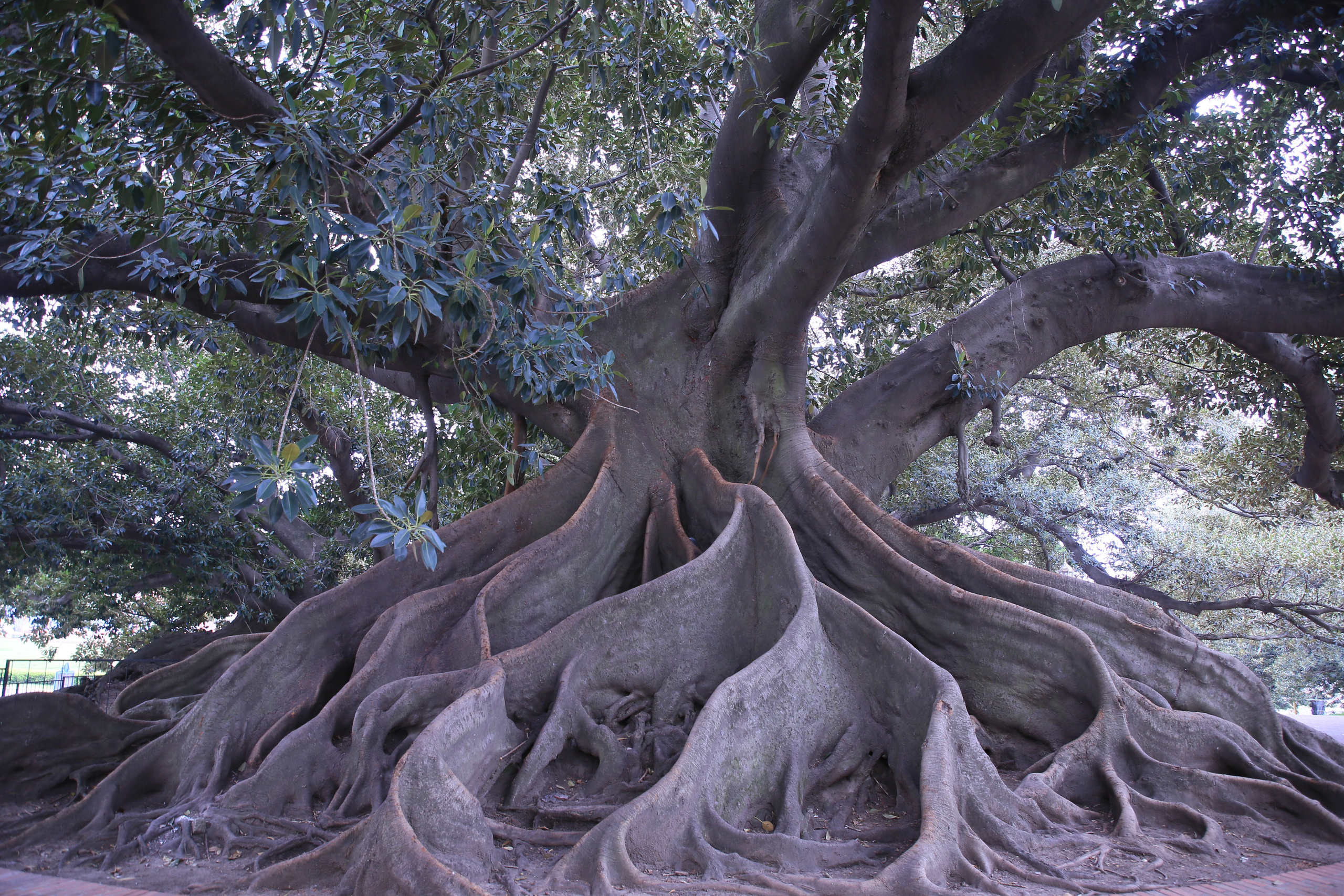 Buenos Aires, Argentina. Andrey Filippov Photographer