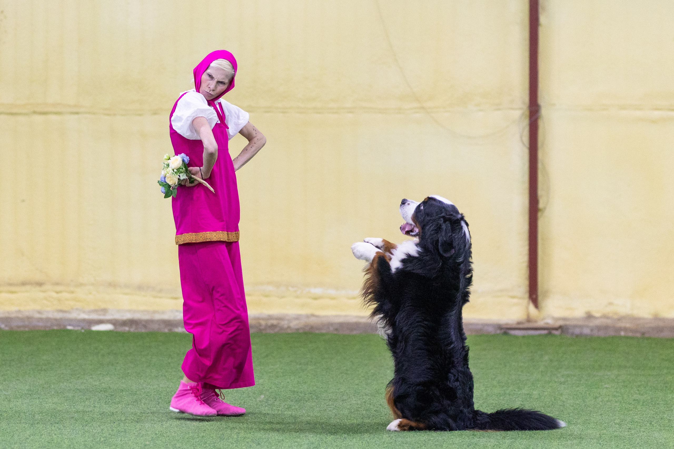 Соревнования танцы. Фотограф-анималист в Москве Кириллова Татьяна