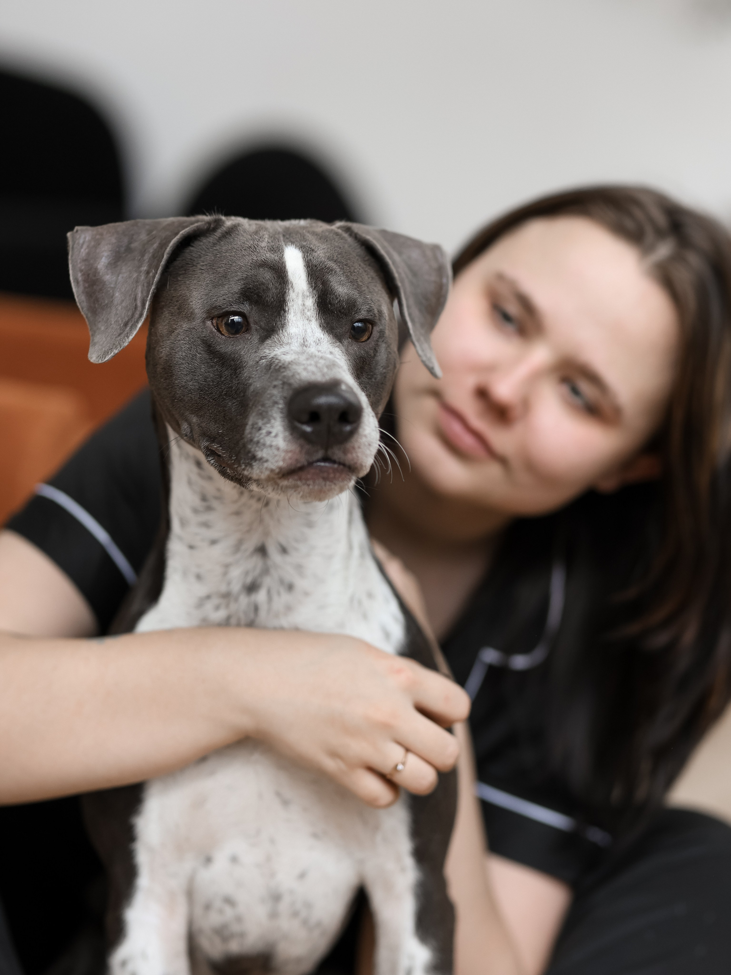 Тортик Даша и Никита. Фотограф-анималист в Москве Кириллова Татьяна
