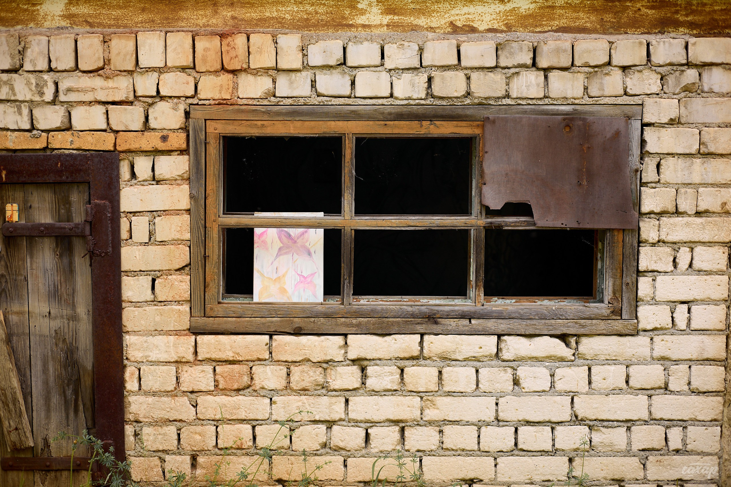 Что вижу, то и пою! от 2024_06_15. Профессиональный фотограф в Екатеринбурге Юра Сахар
