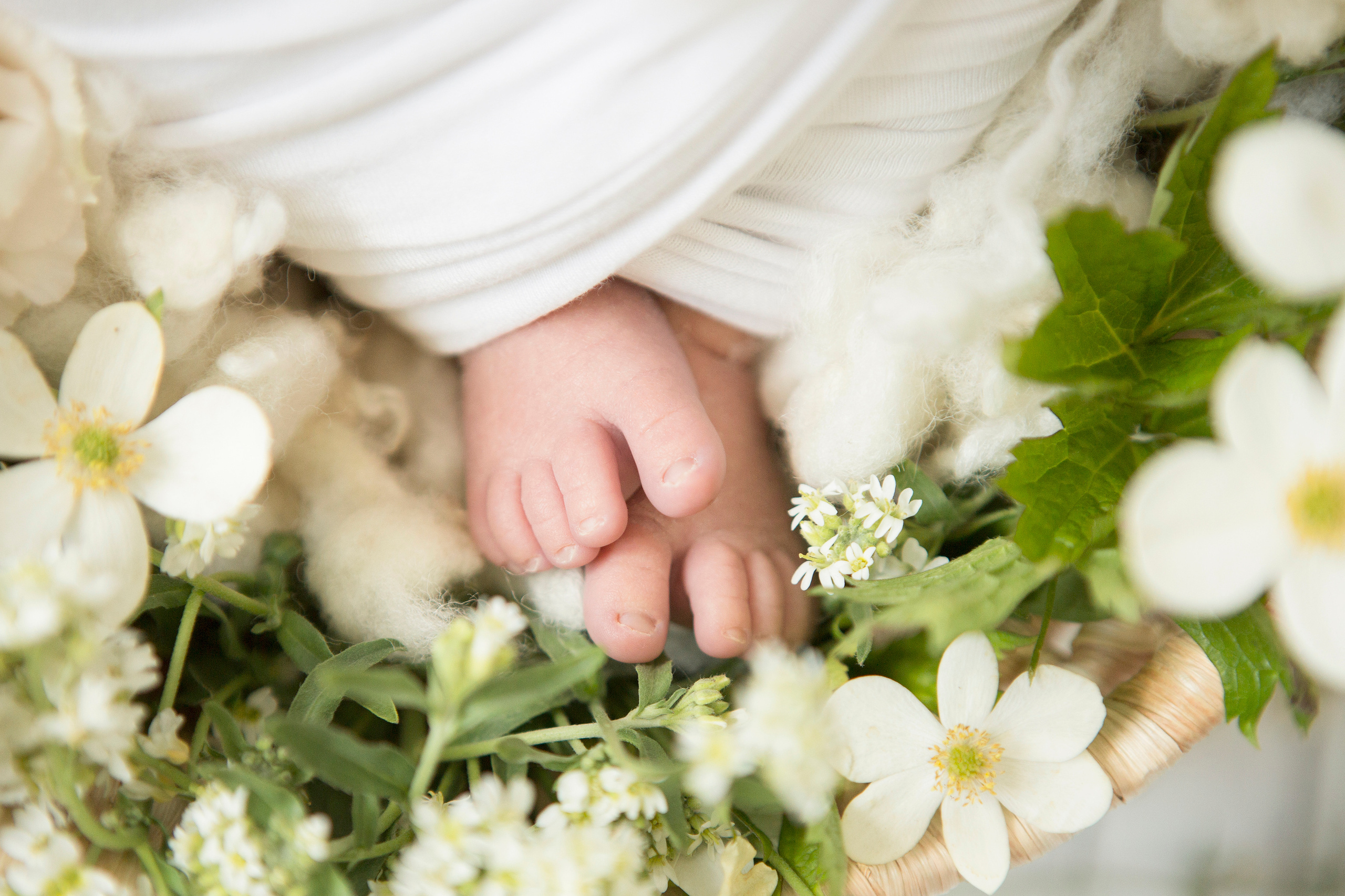 Фотосессия новорожденного. Фотограф новорожденных и беременности, Екатеринбург Сметанина Наталья