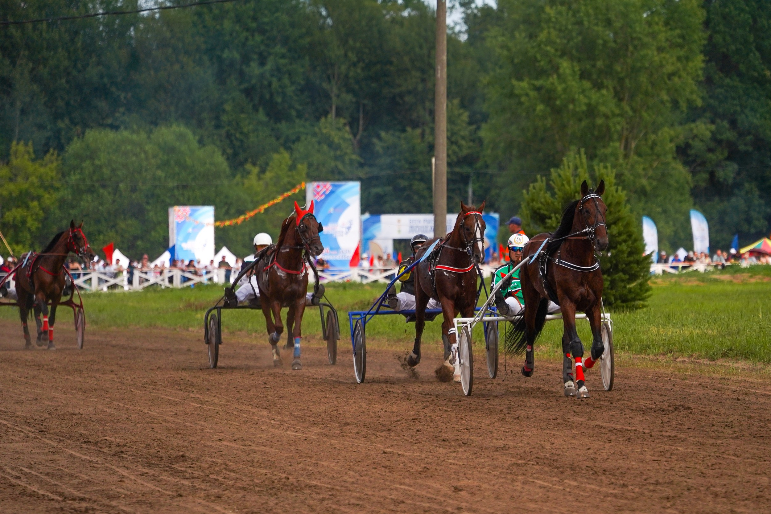 III конные бега на Кубок Главы Чувашии. Фотограф-анималист, портретный фотограф в Чебоксарах Мария Садыкова