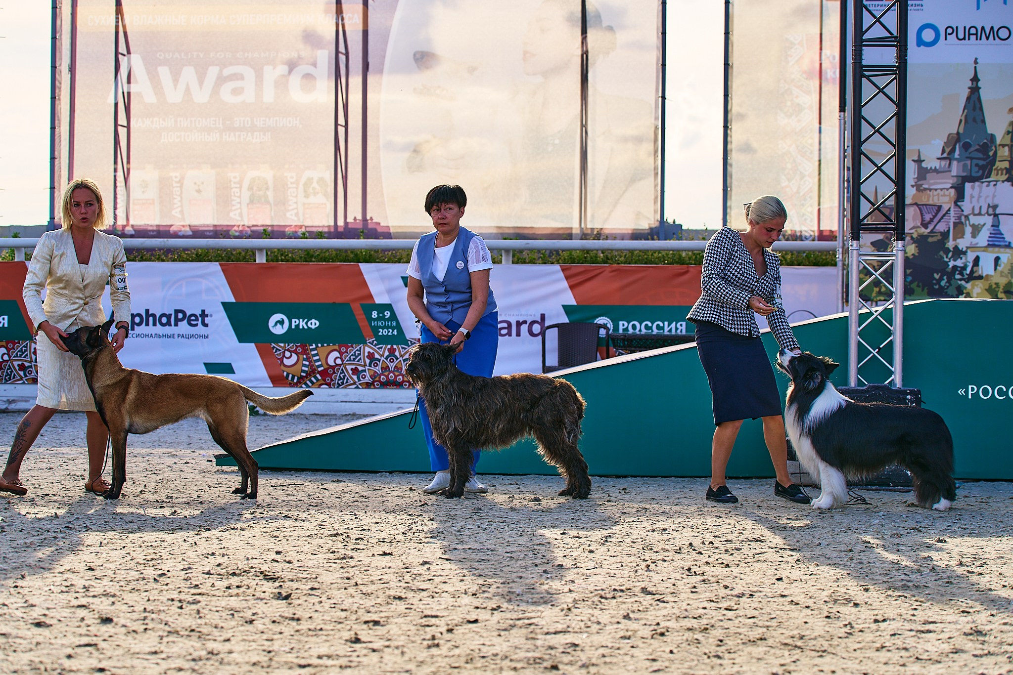 08.06.2024 «РОССИЯ. КУБОК РКФ 2024»