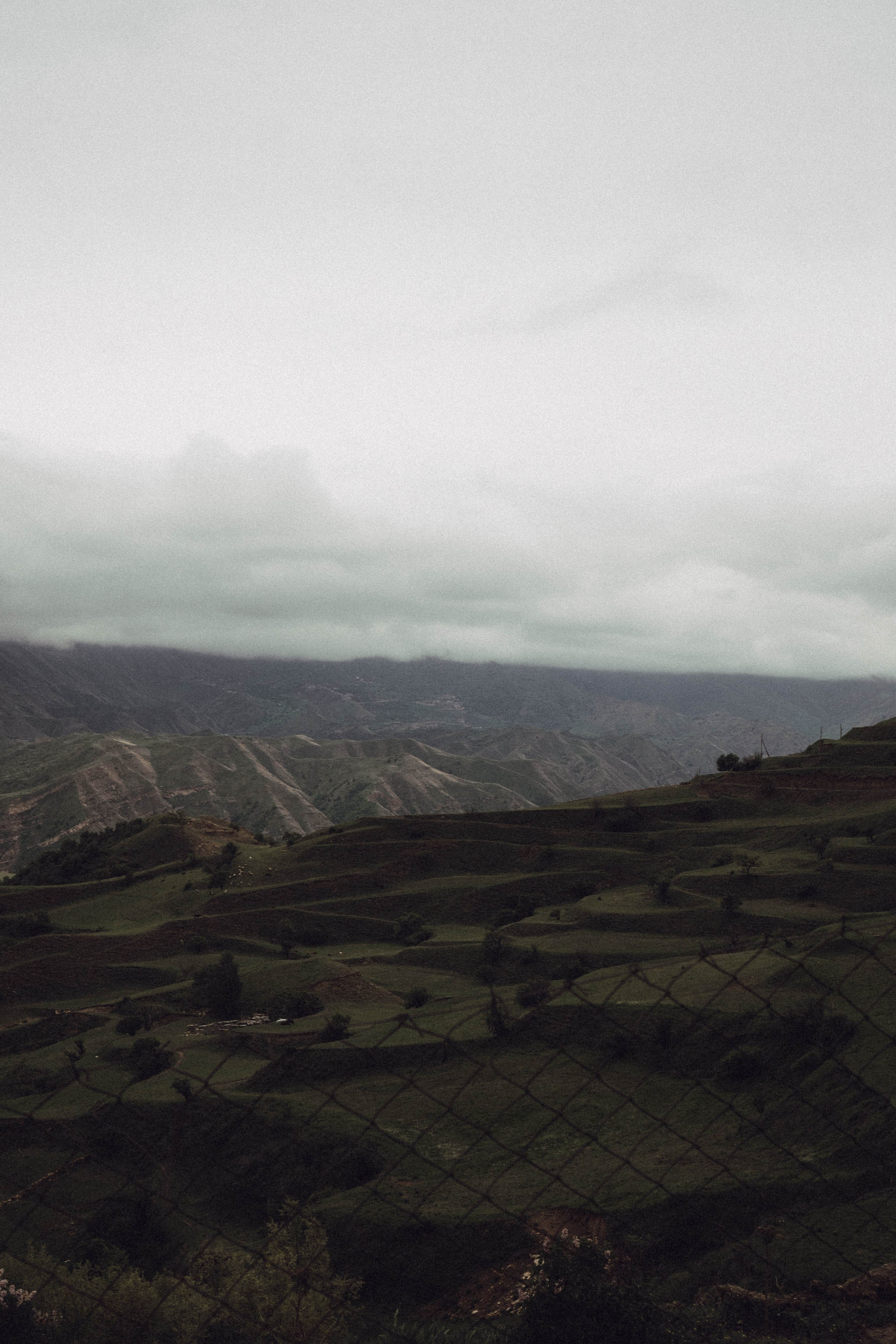 Кавказ. Профессиональный фотограф, Санкт-Петербург — Виктория Богомолова
