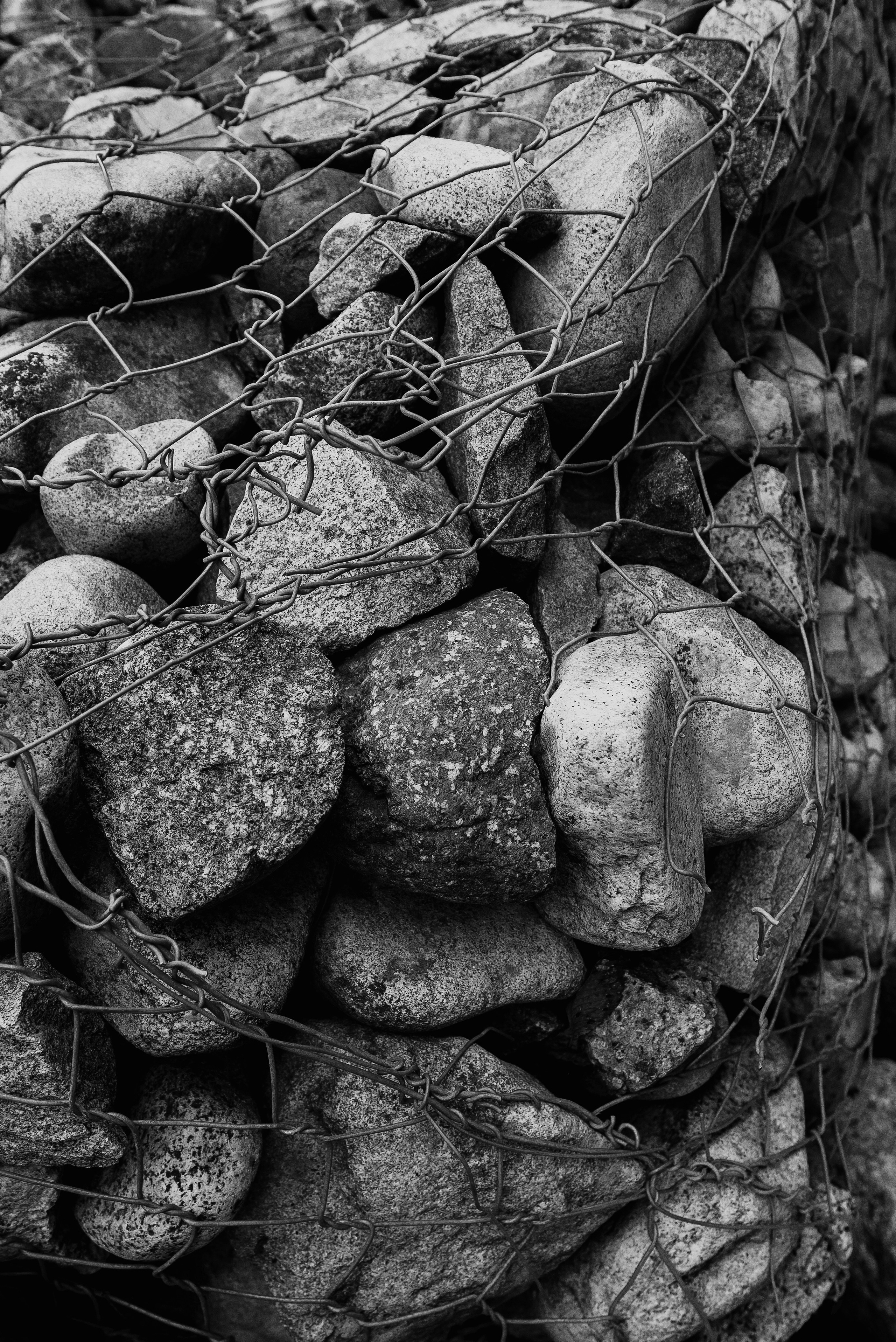 Жизнь. Фотограф Алматы | Весь мир — Никита Колодин