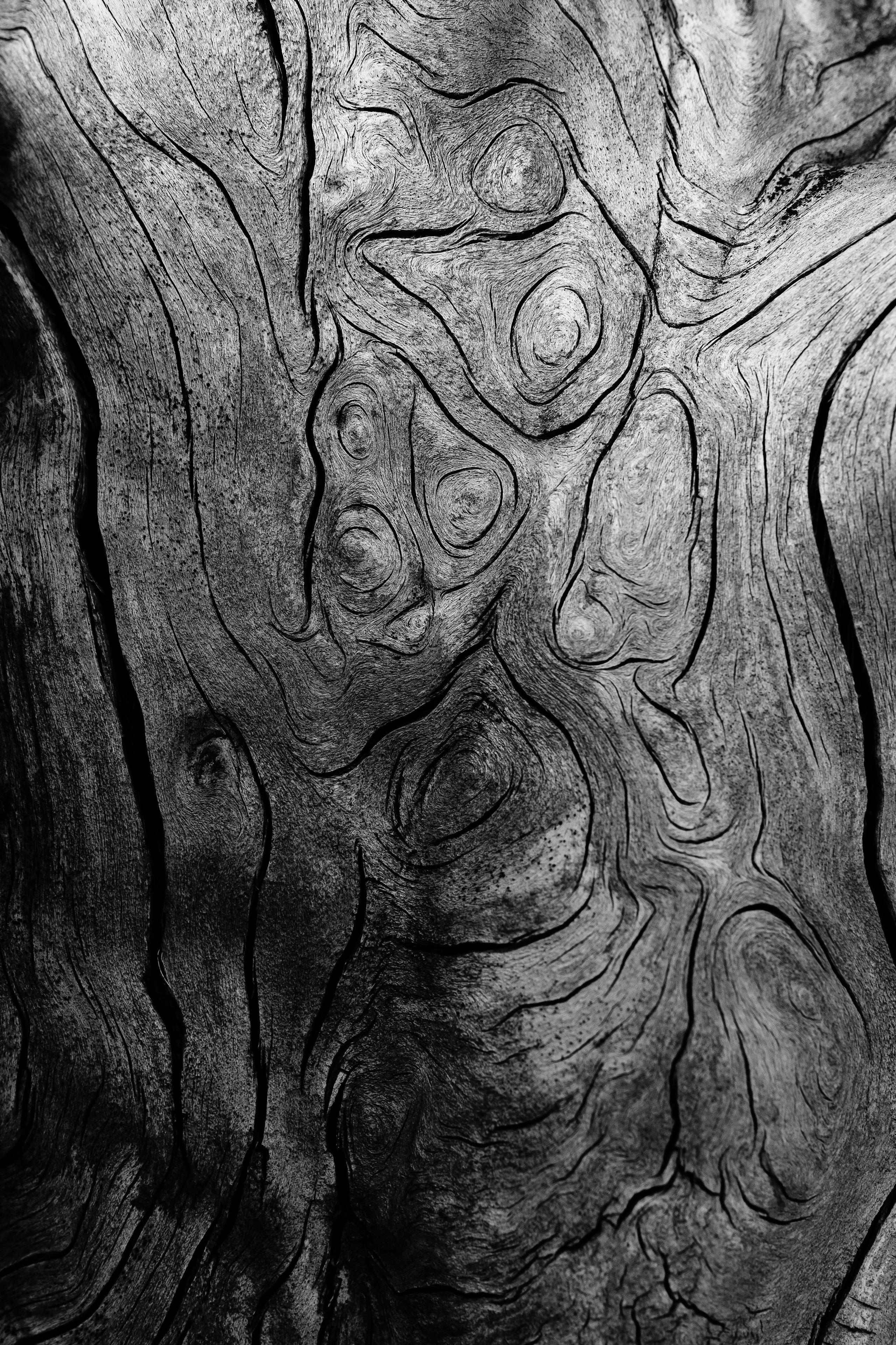 Жизнь. Фотограф Алматы | Весь мир — Никита Колодин