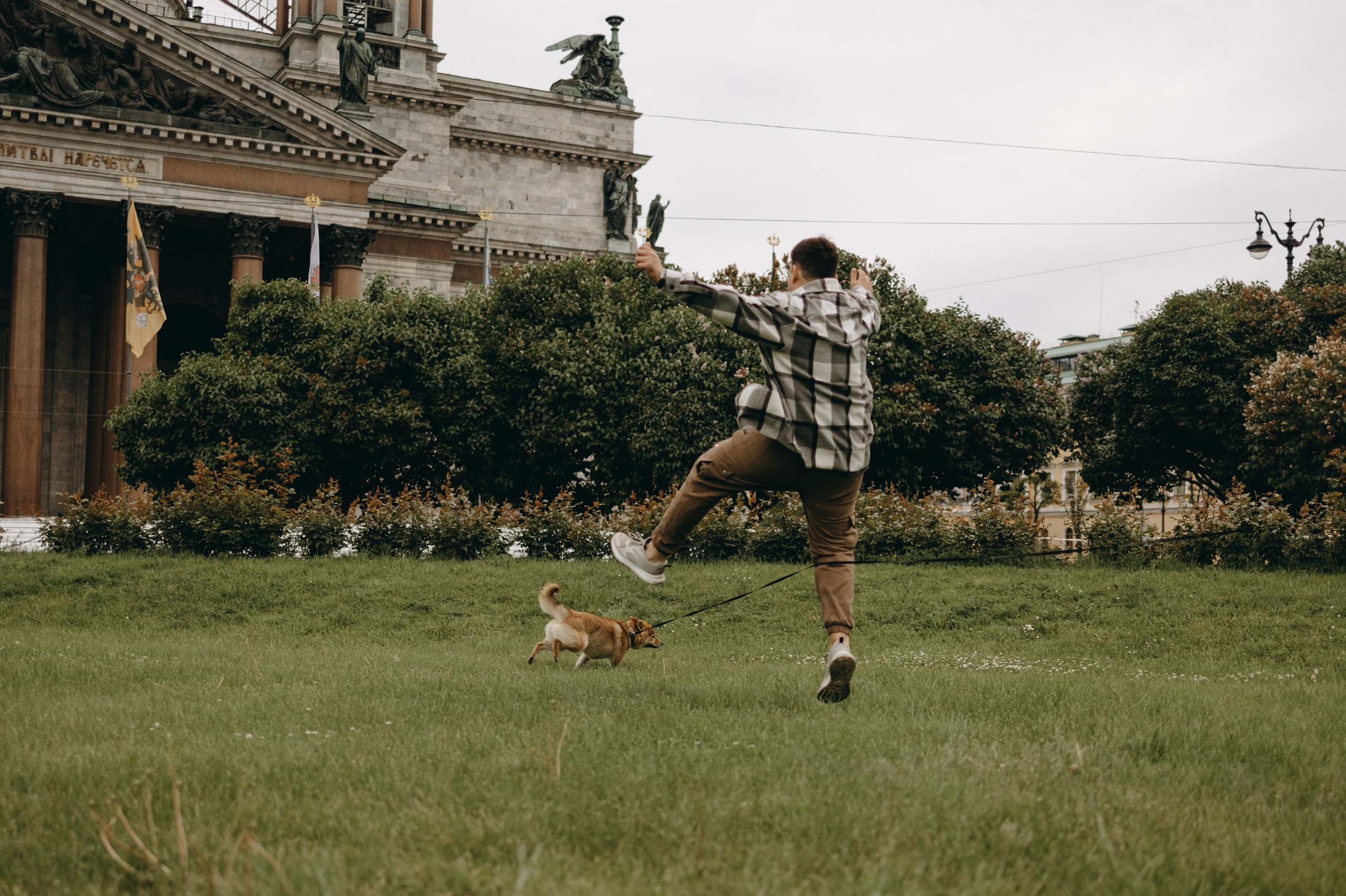 Сириус и его семья. Фотограф — Анималист | Санкт-Петербург