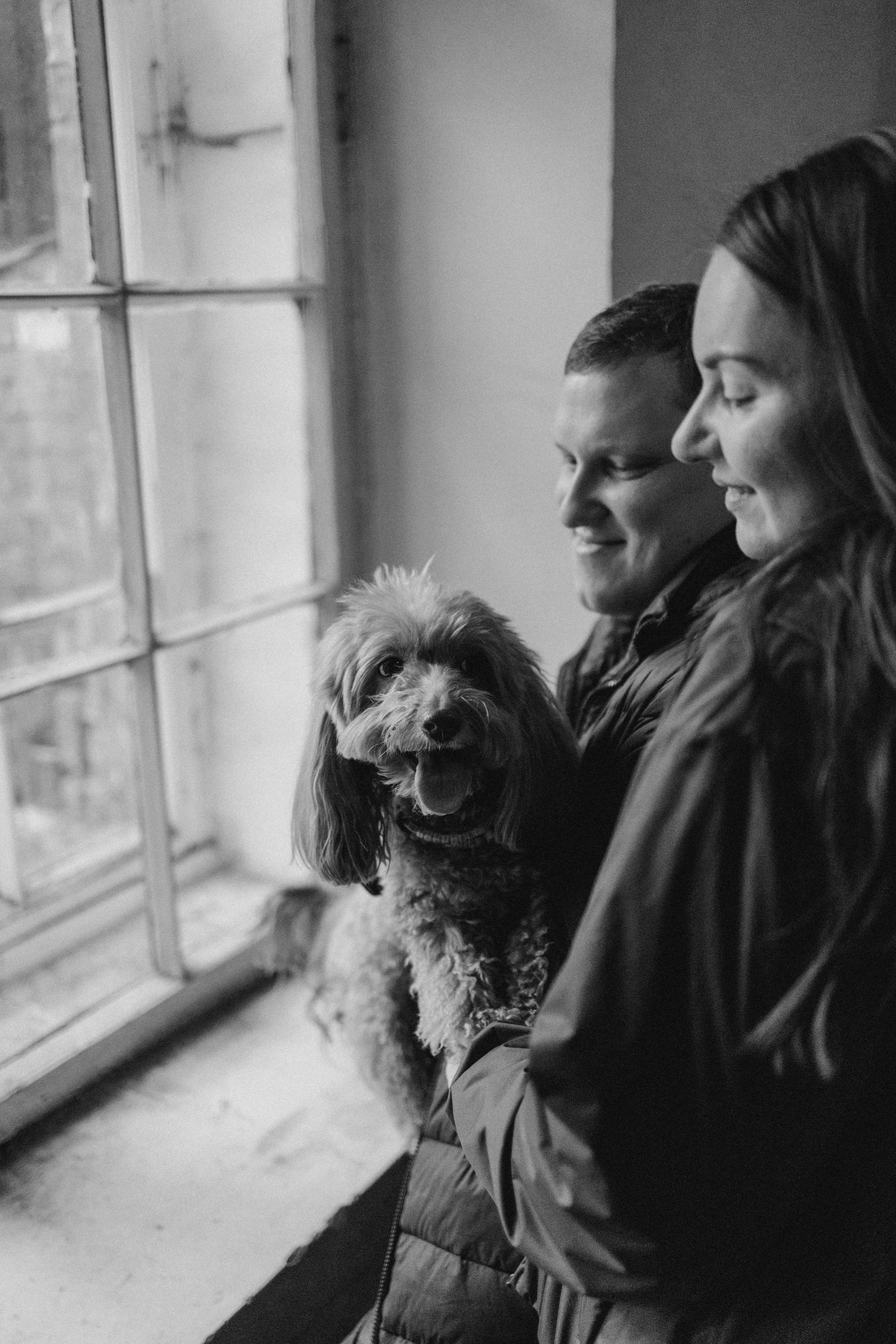 Шкипер и его семья. Фотограф — Анималист | Санкт-Петербург