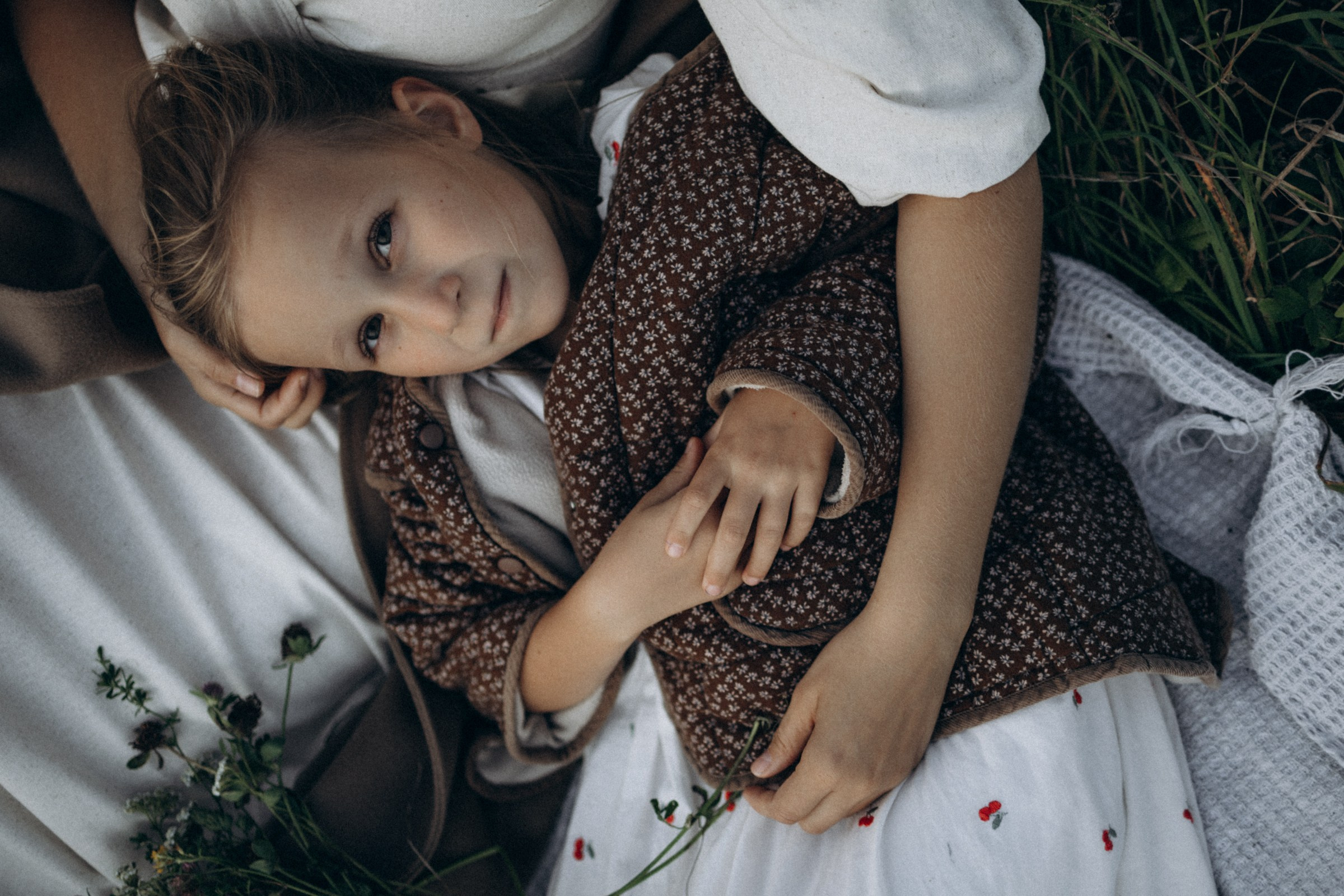 Дружелюбная овечка. Фотограф Daria Wilner