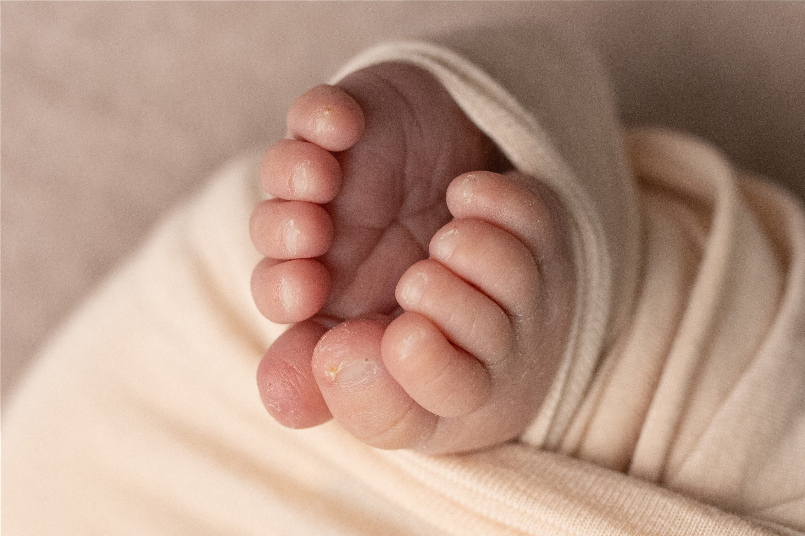 Макроснимки. Фотограф новорождённых г. Салехард