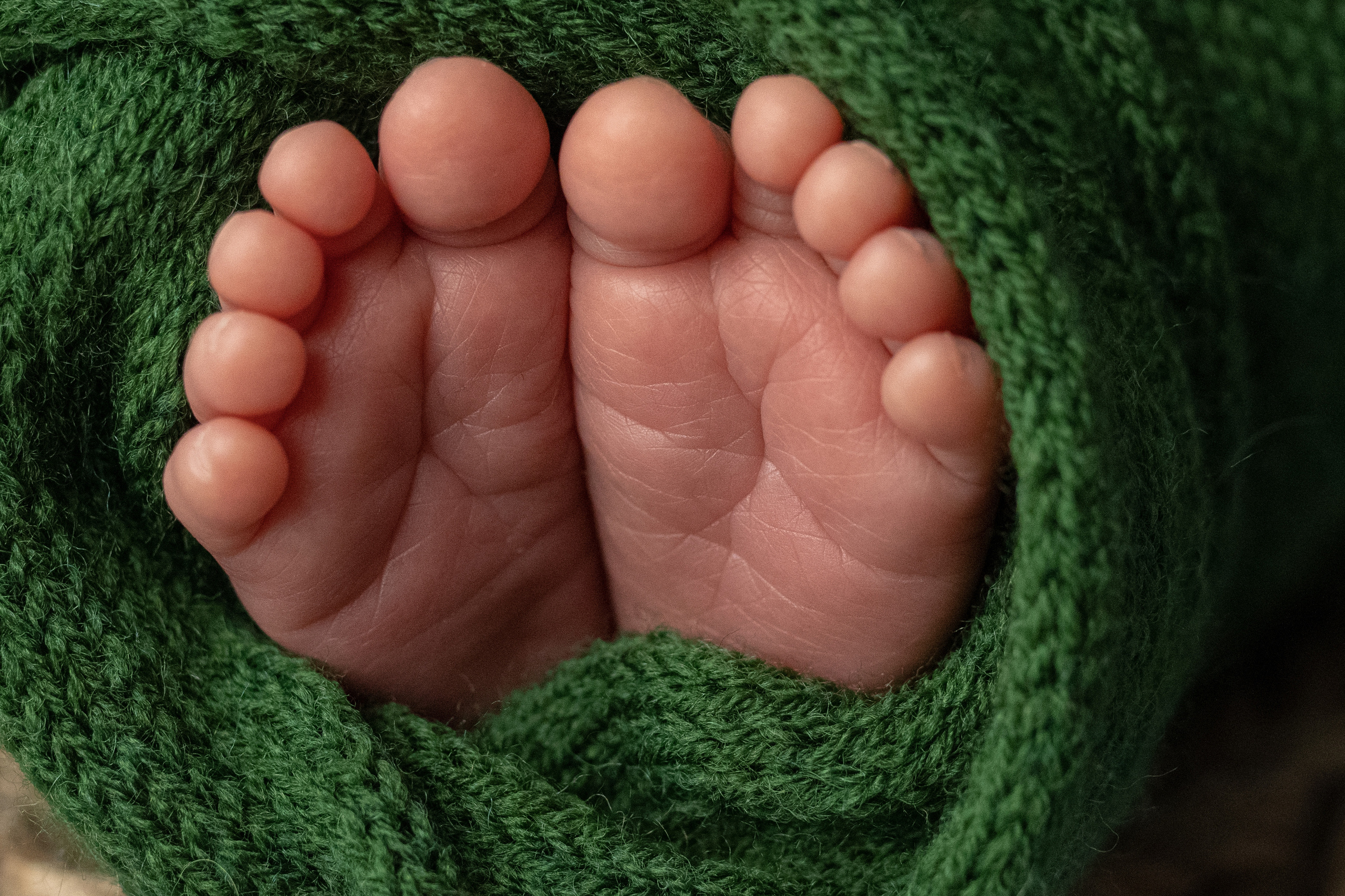 Макроснимки. Фотограф новорождённых г. Салехард