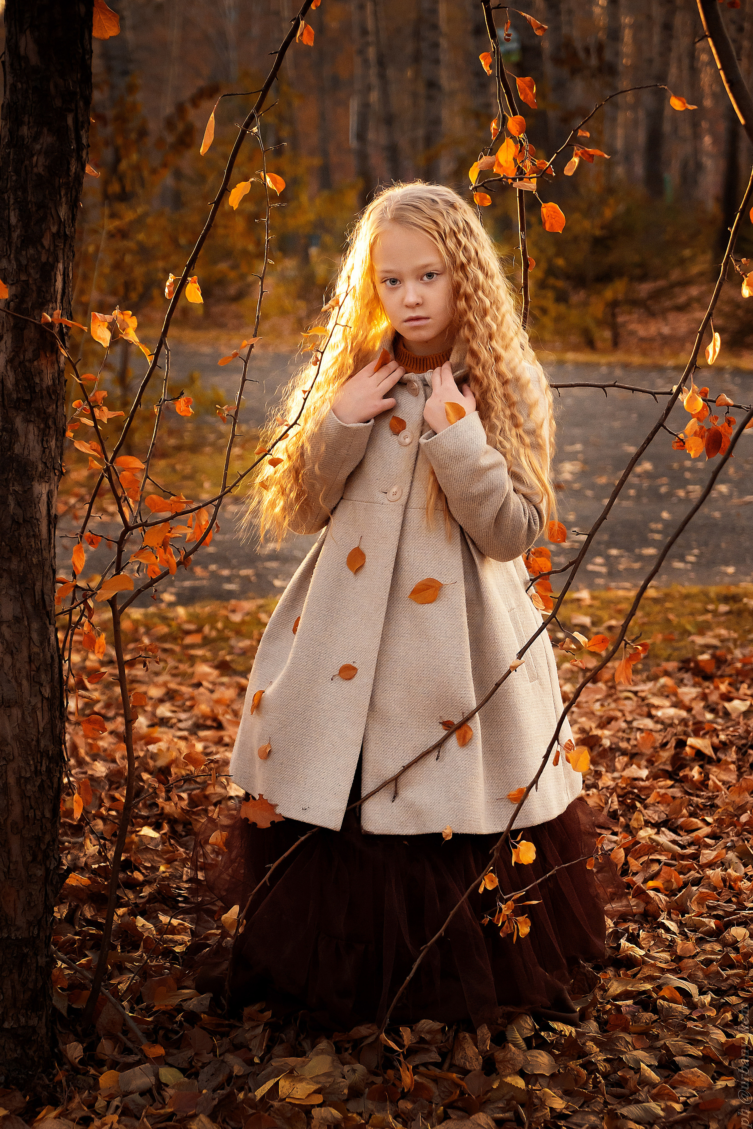 Солнце моё. Школьный фотограф в Кемерово Мелещенко Анна