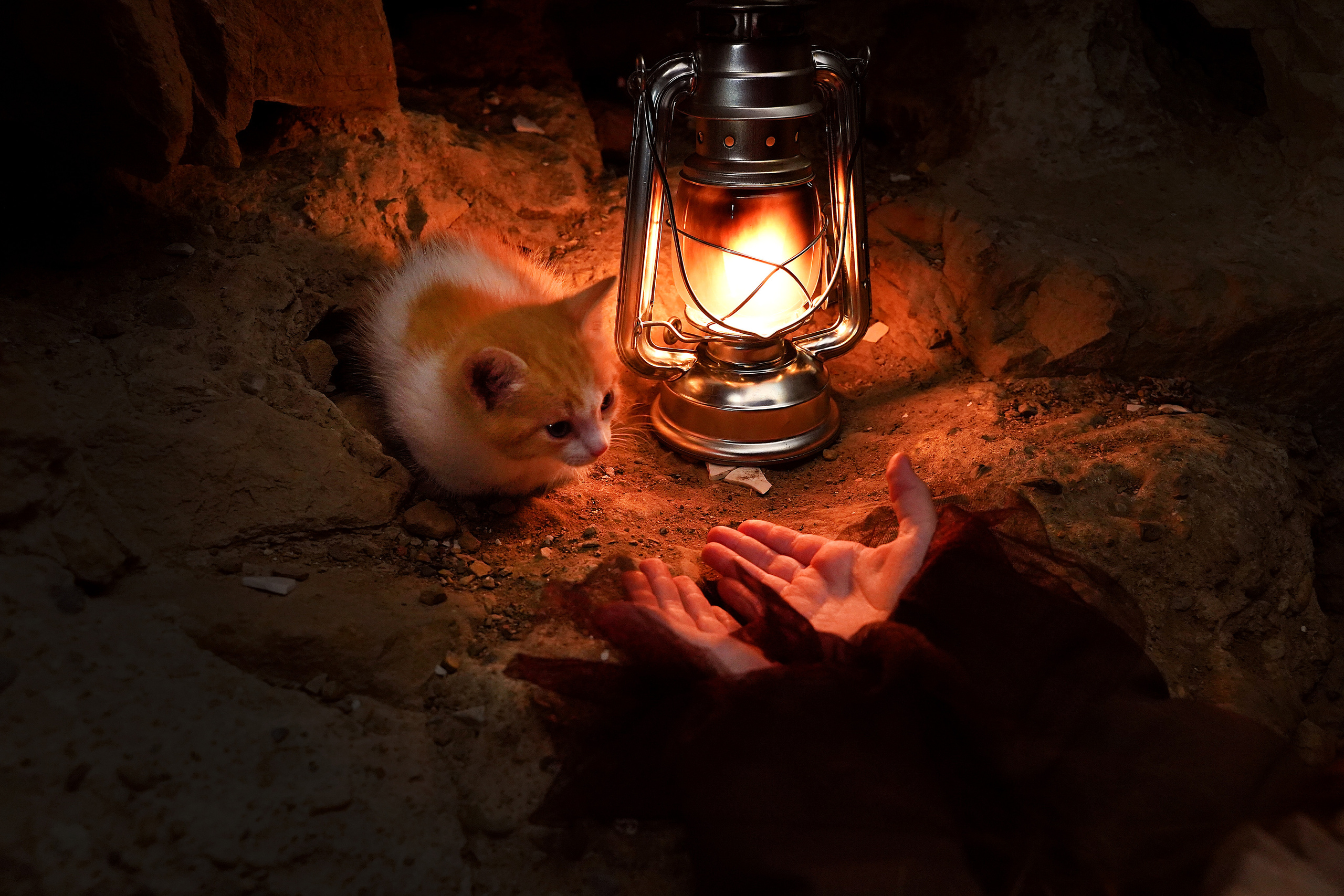 На берегу. Школьный фотограф в Кемерово Мелещенко Анна