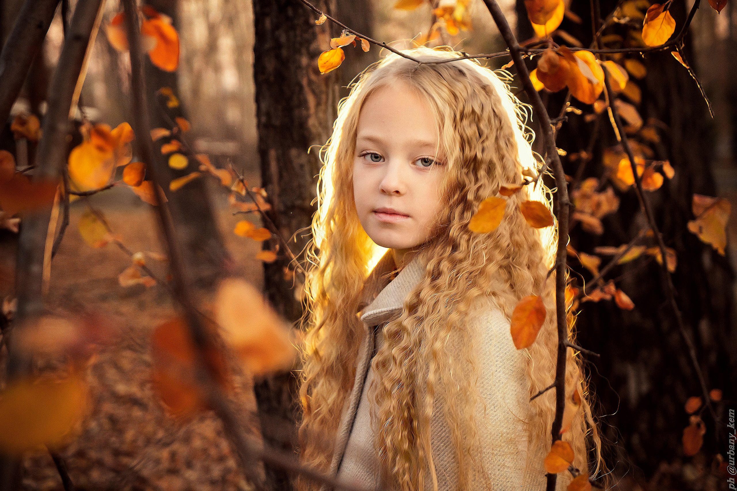Солнце моё. Школьный фотограф в Кемерово Мелещенко Анна