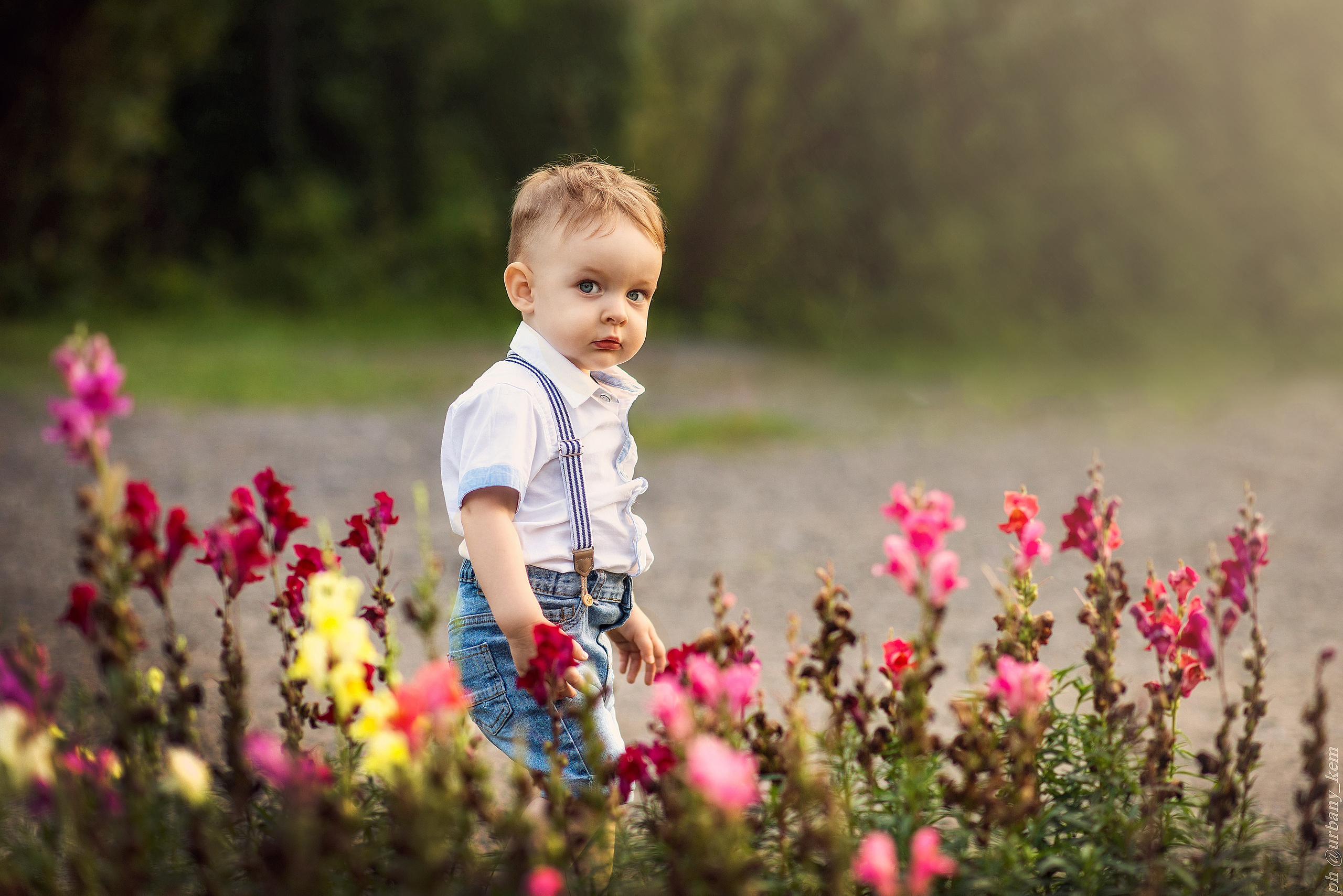 О семейном, о вечном. Школьный фотограф в Кемерово Мелещенко Анна