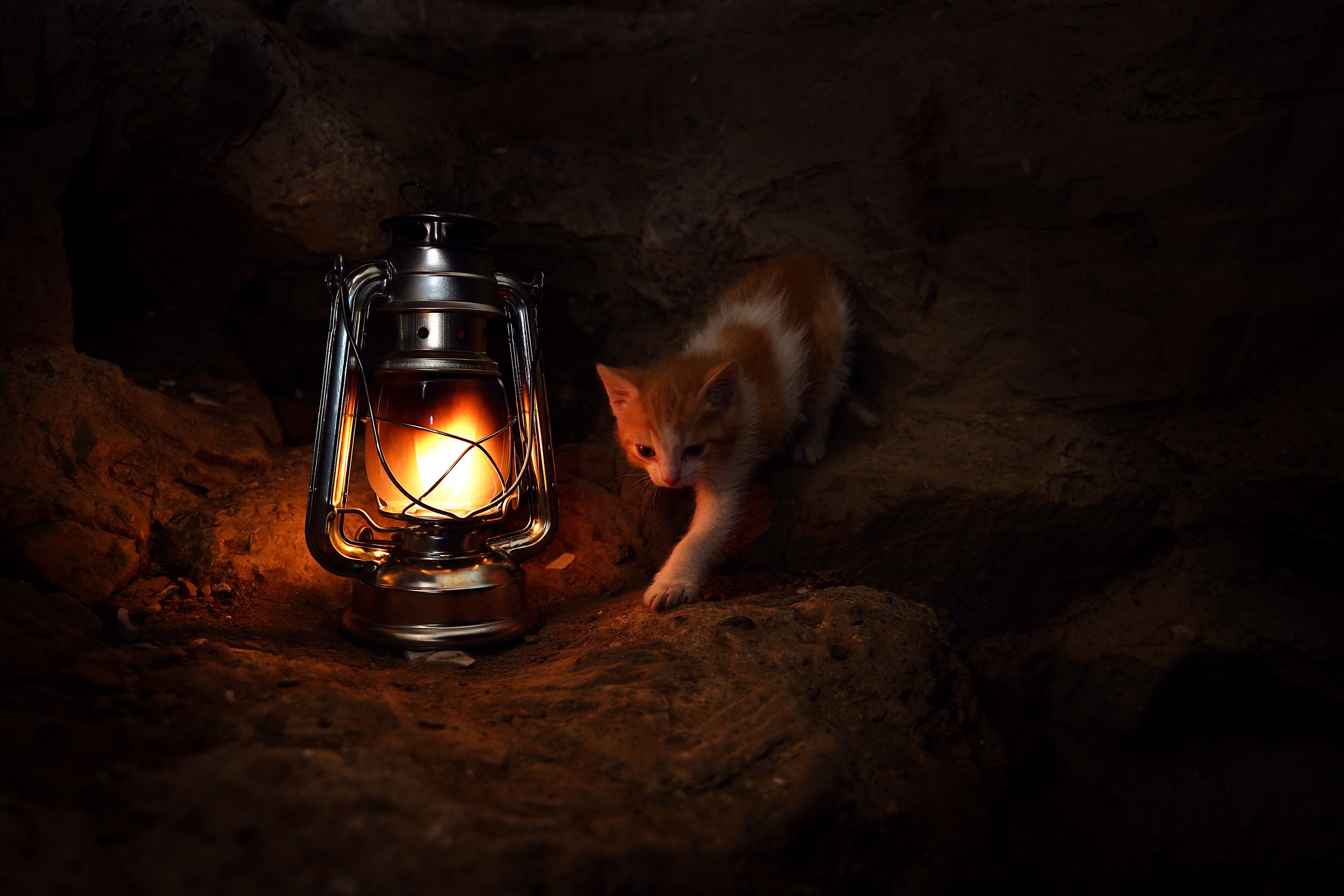 На берегу. Школьный фотограф в Кемерово Мелещенко Анна