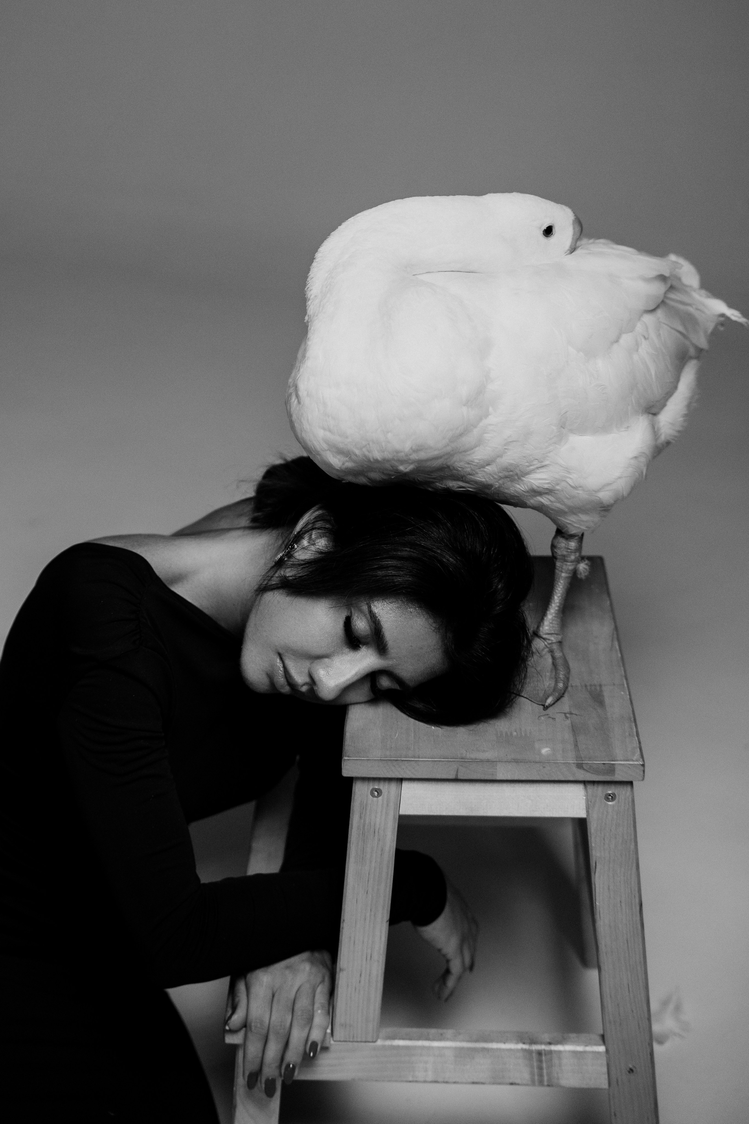 Юля и Гусь. Фотограф на мероприятие