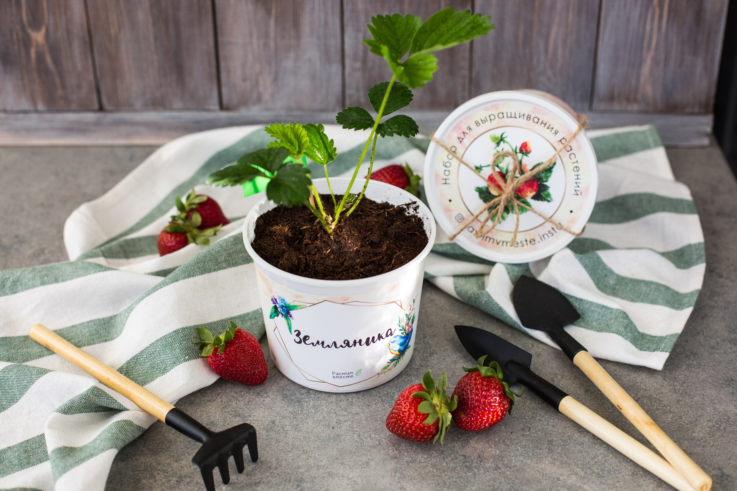 Растим вместе. Главная