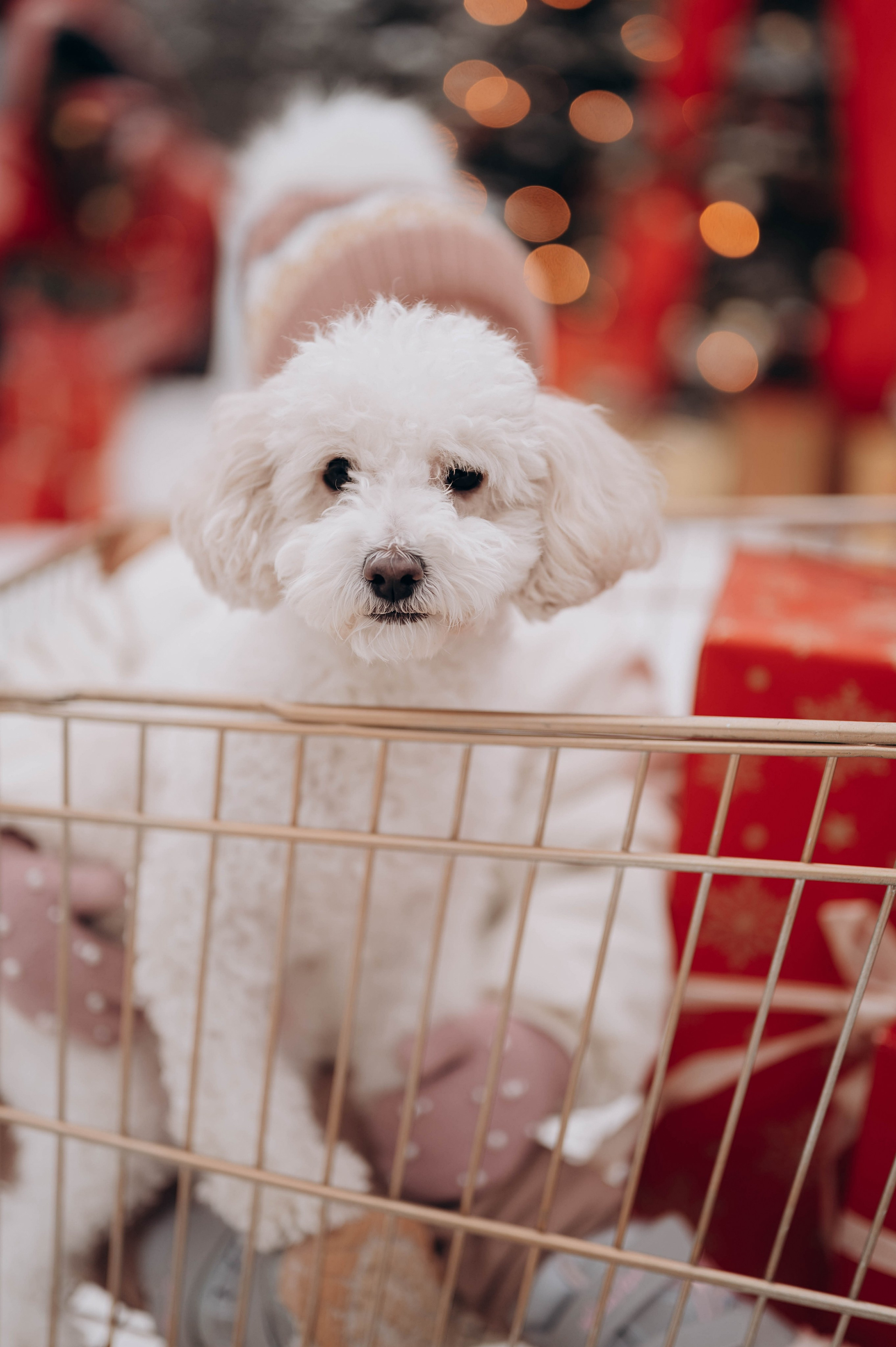 Семейные истории. Главная