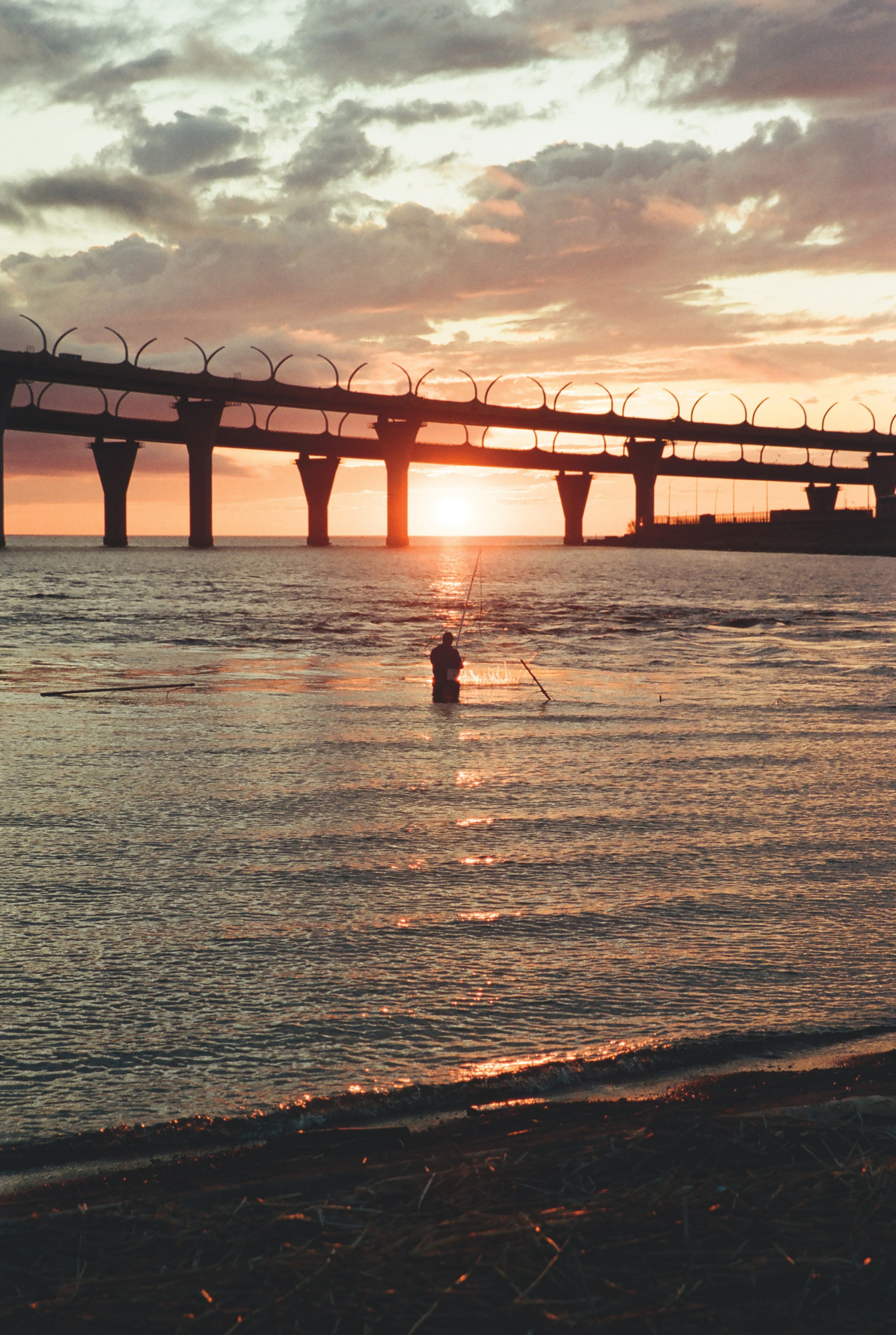 Фотографии цветные. Свадебный и семейный пленочный фотограф в Петербурге Истомина Ирина