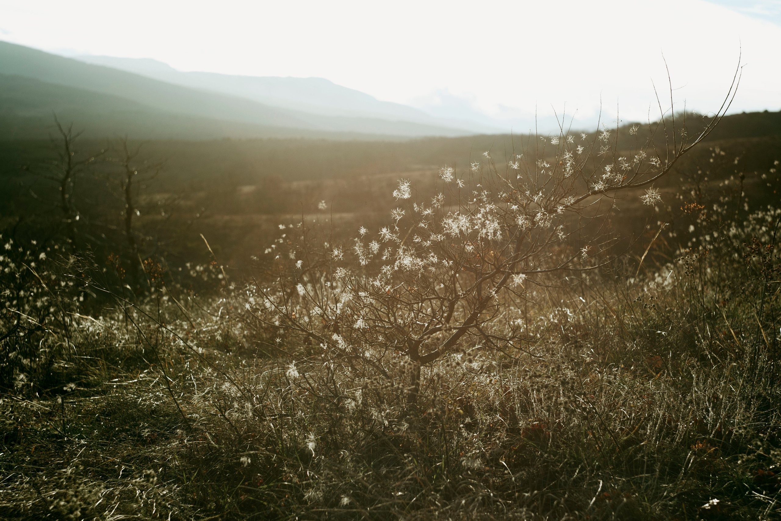 Крым. Ваш портретный фотограф в Москве Катя Прокофьева