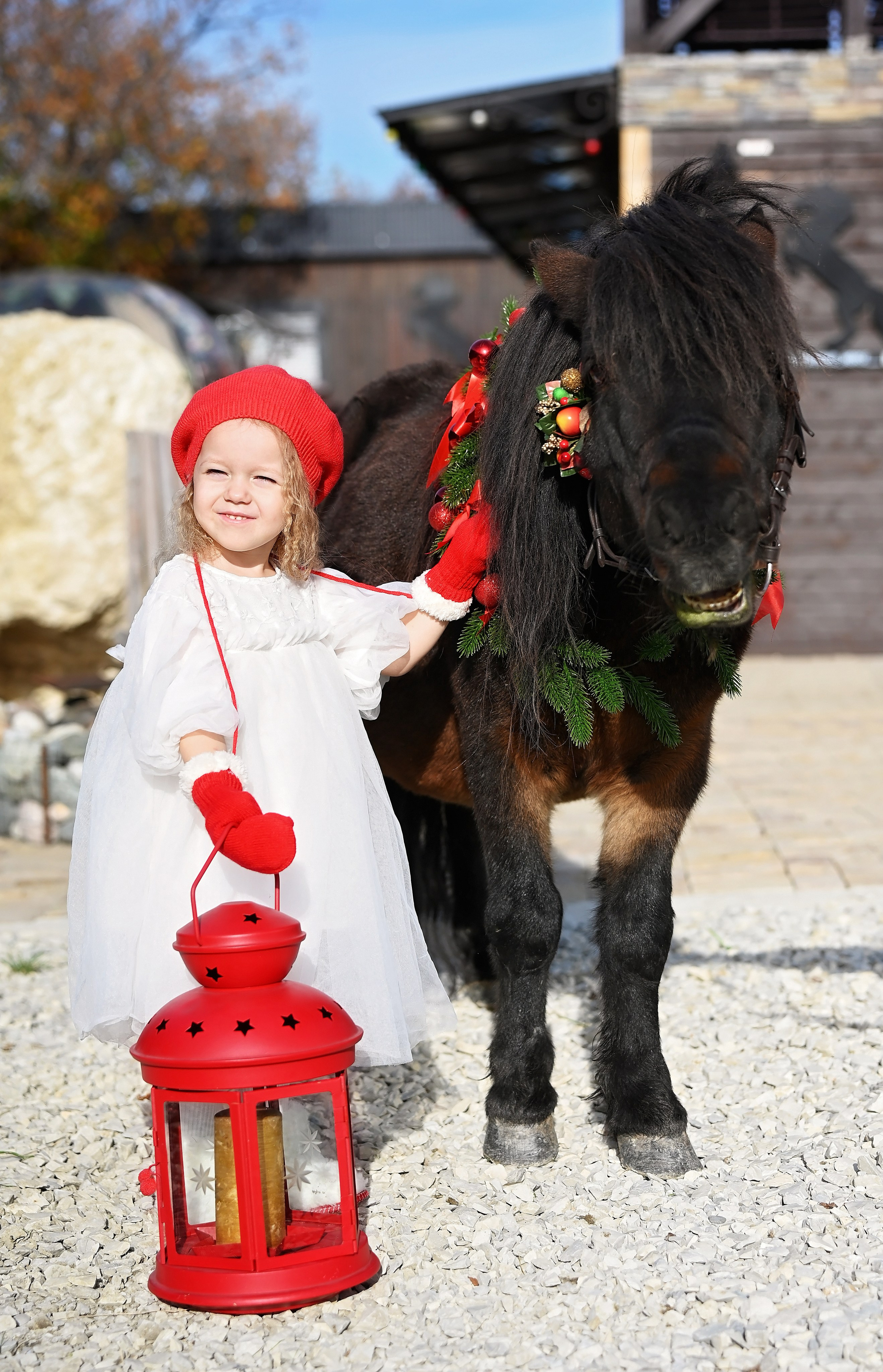 Лошади. Главная