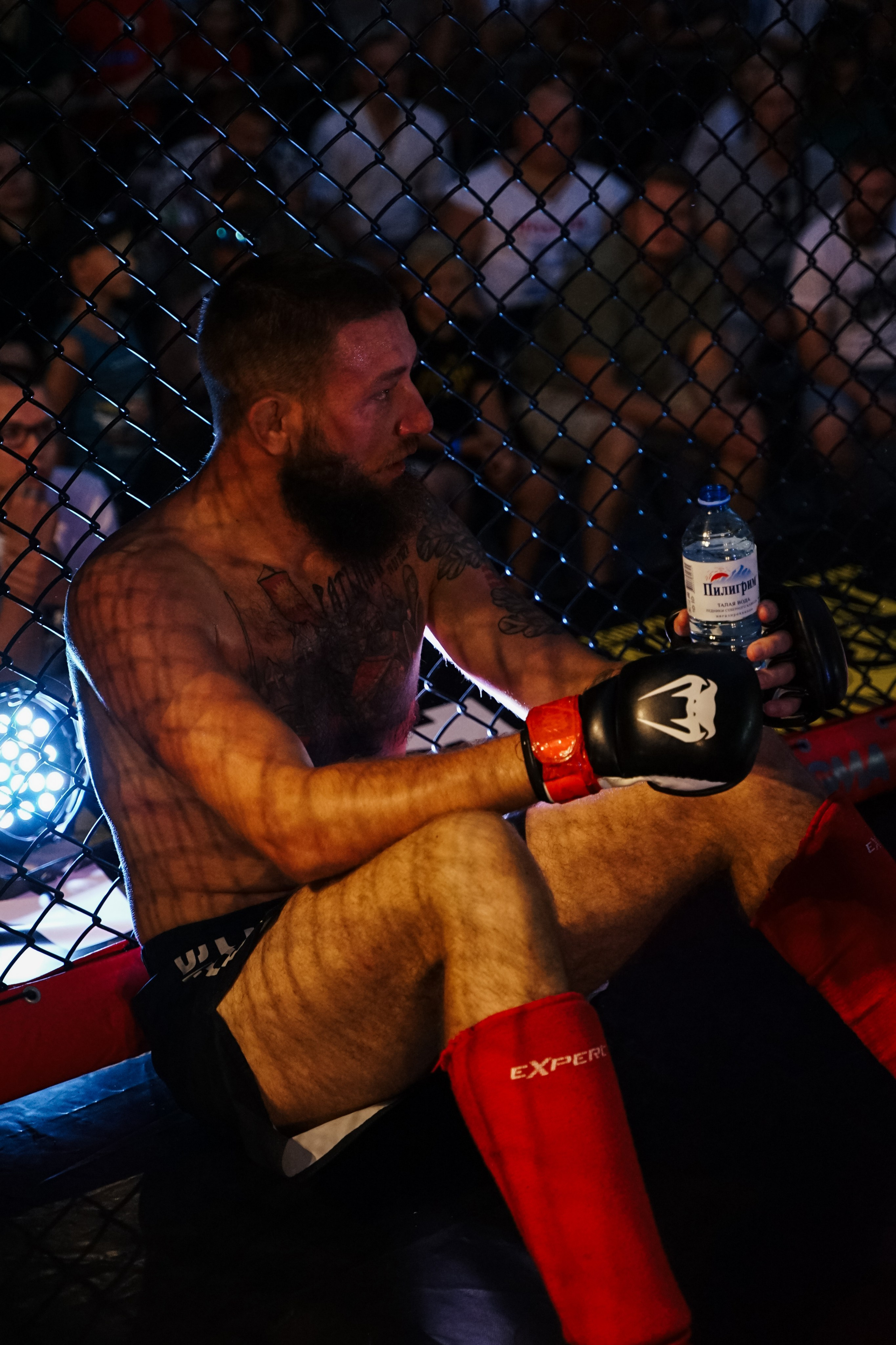 Вечер боев в ЦПКиО. Фотограф Надежда Погребняк | Рязань | Москва