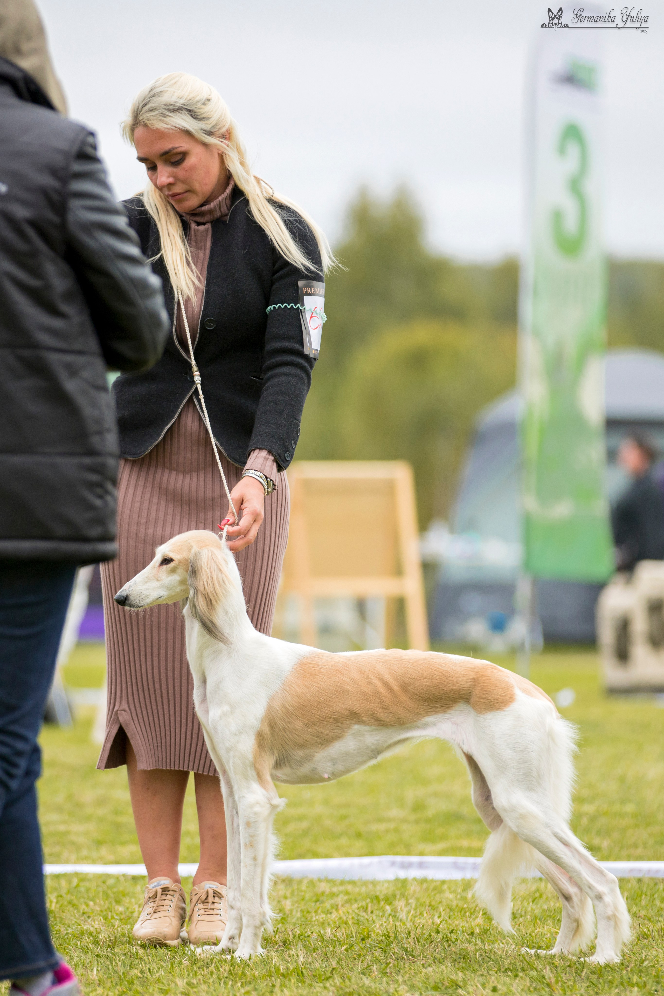 Переславль 9-10.09.2023. Фотограф-анималист Юлия Германика