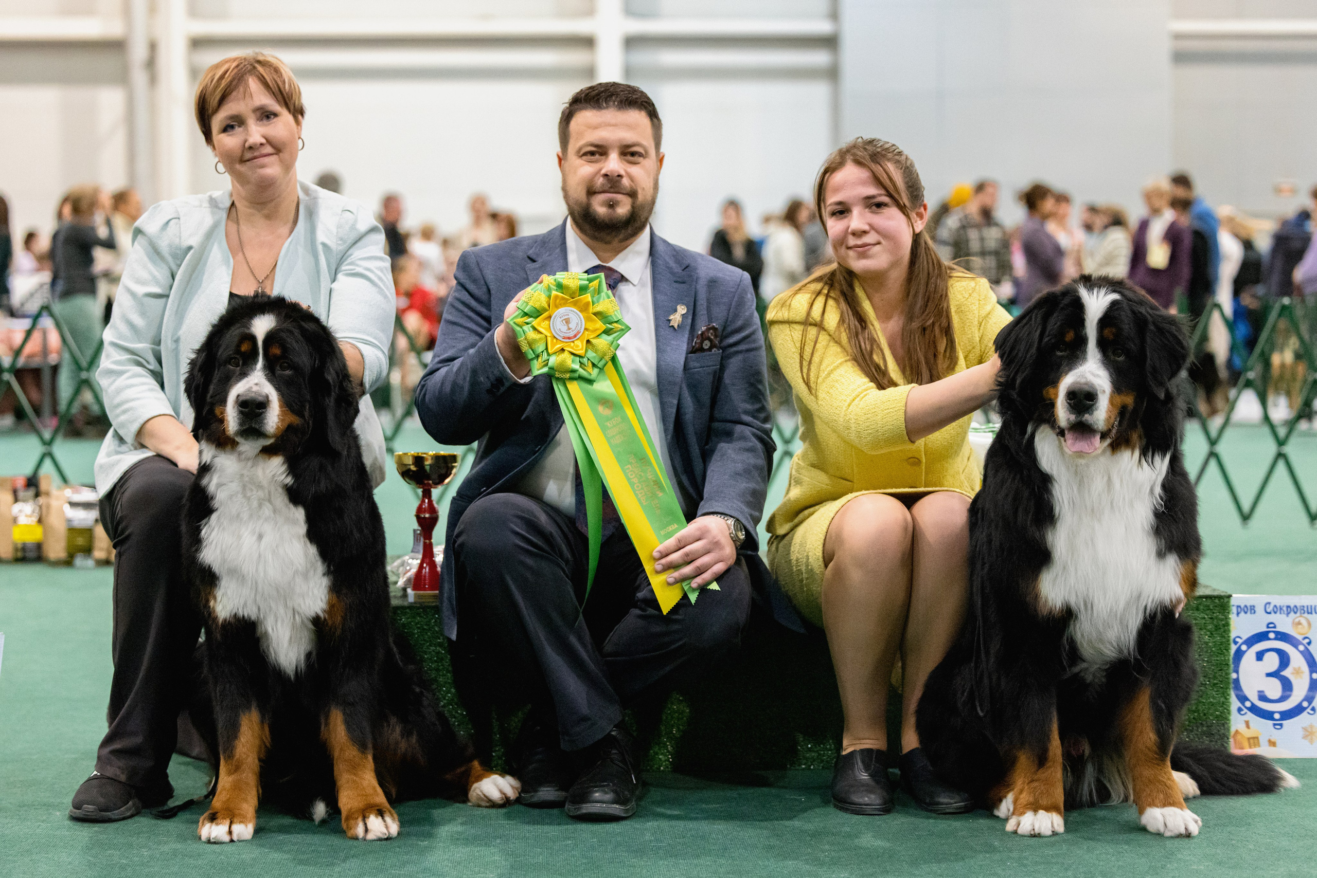 Крокус 3,9 и 10.12.2023. Фотограф-анималист Юлия Германика