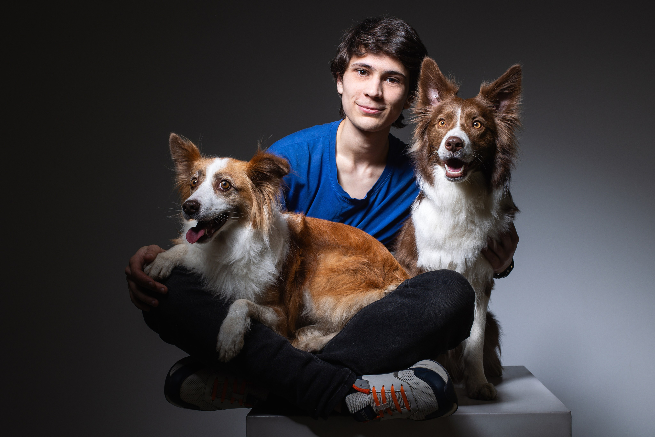 Беатрисс и бордер Вивьен в студии. Фотограф анималист в Москве Майорова Евгения