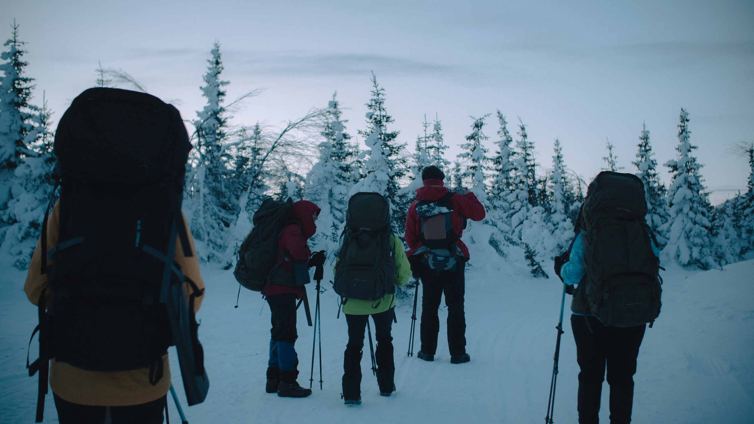 Прайс-лист на услуги. NECULTURED PHOTOGRAPHER