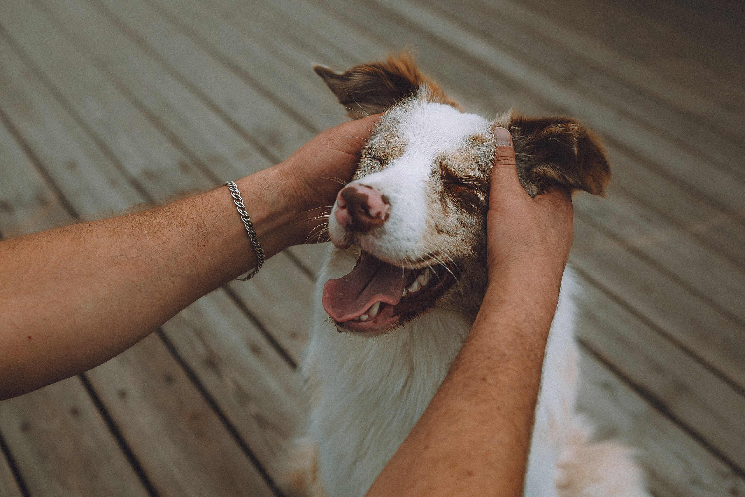 Один и его семья