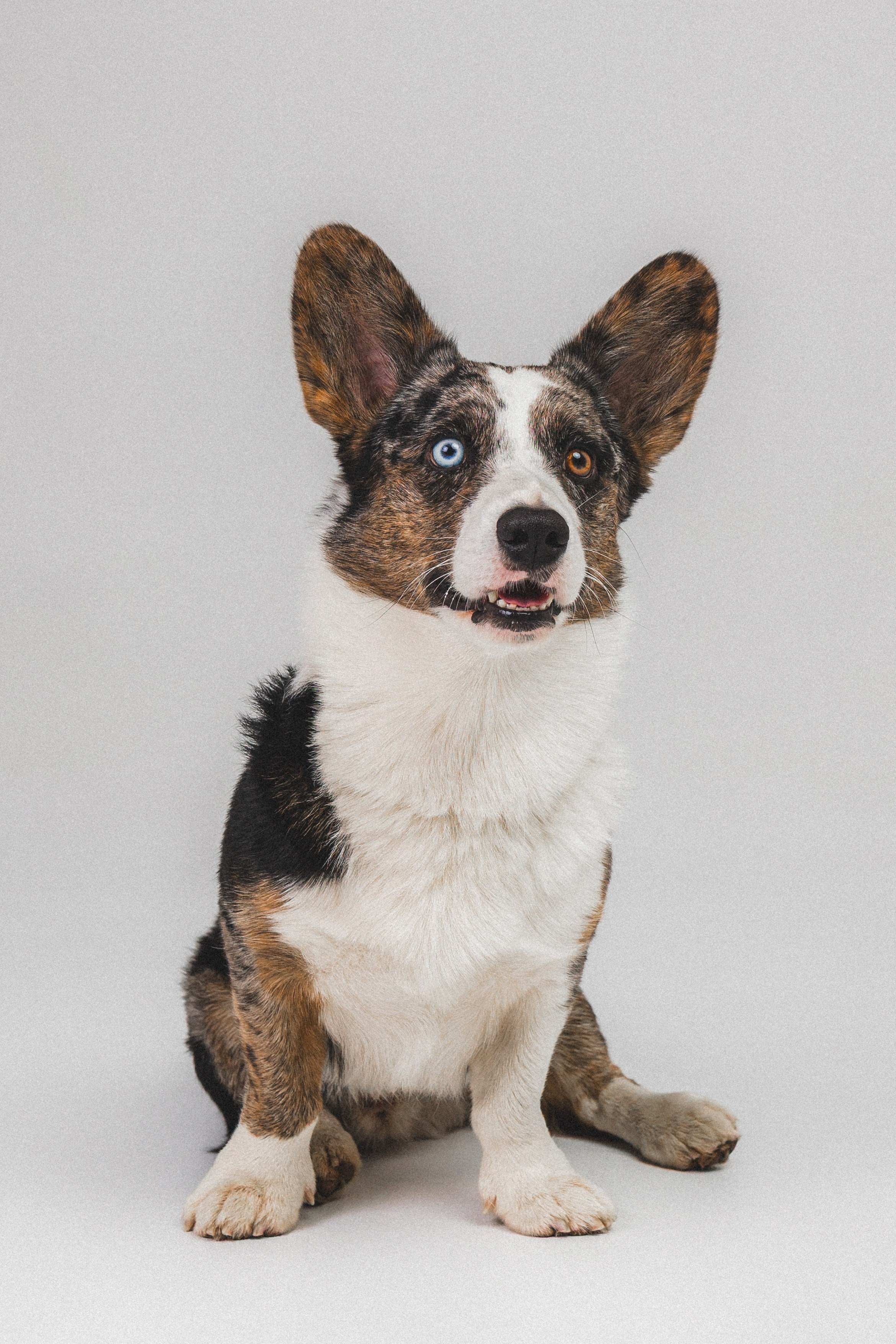 Анатолий и Рагнар