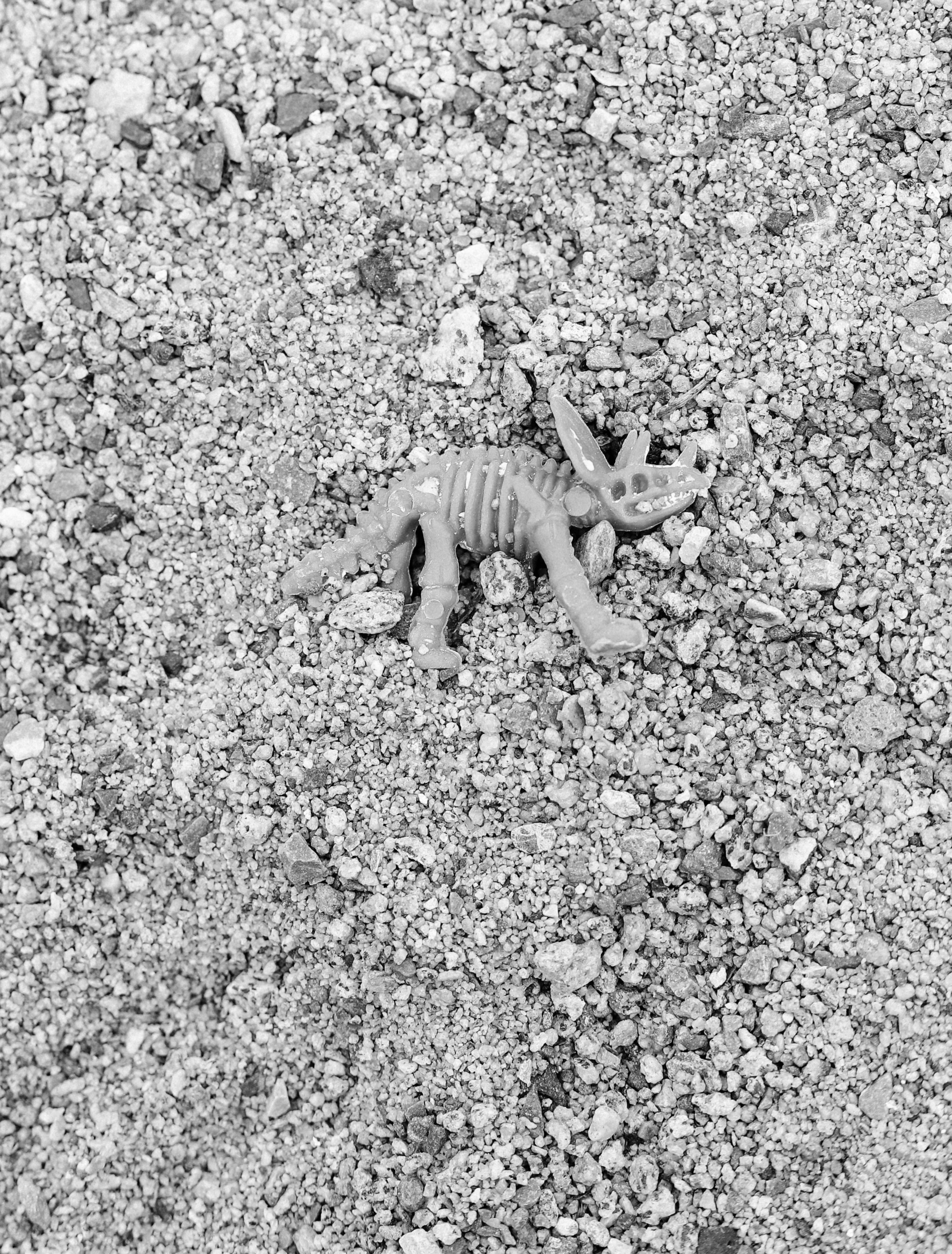 СПАСТИ ДИНОЗАВРА. Художница Екатерина Малышева