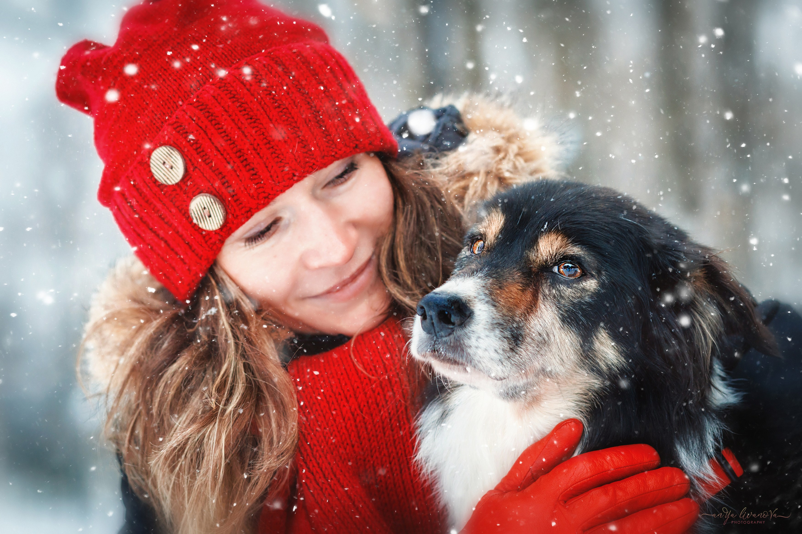 Рокки. Фотограф анималист Аня Ливанова | Рыбинск